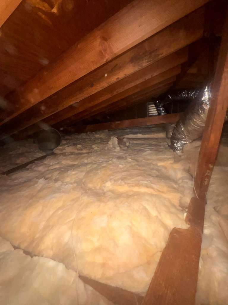 Project by Advanced Attic Solutions by Advanced Attic Solutions