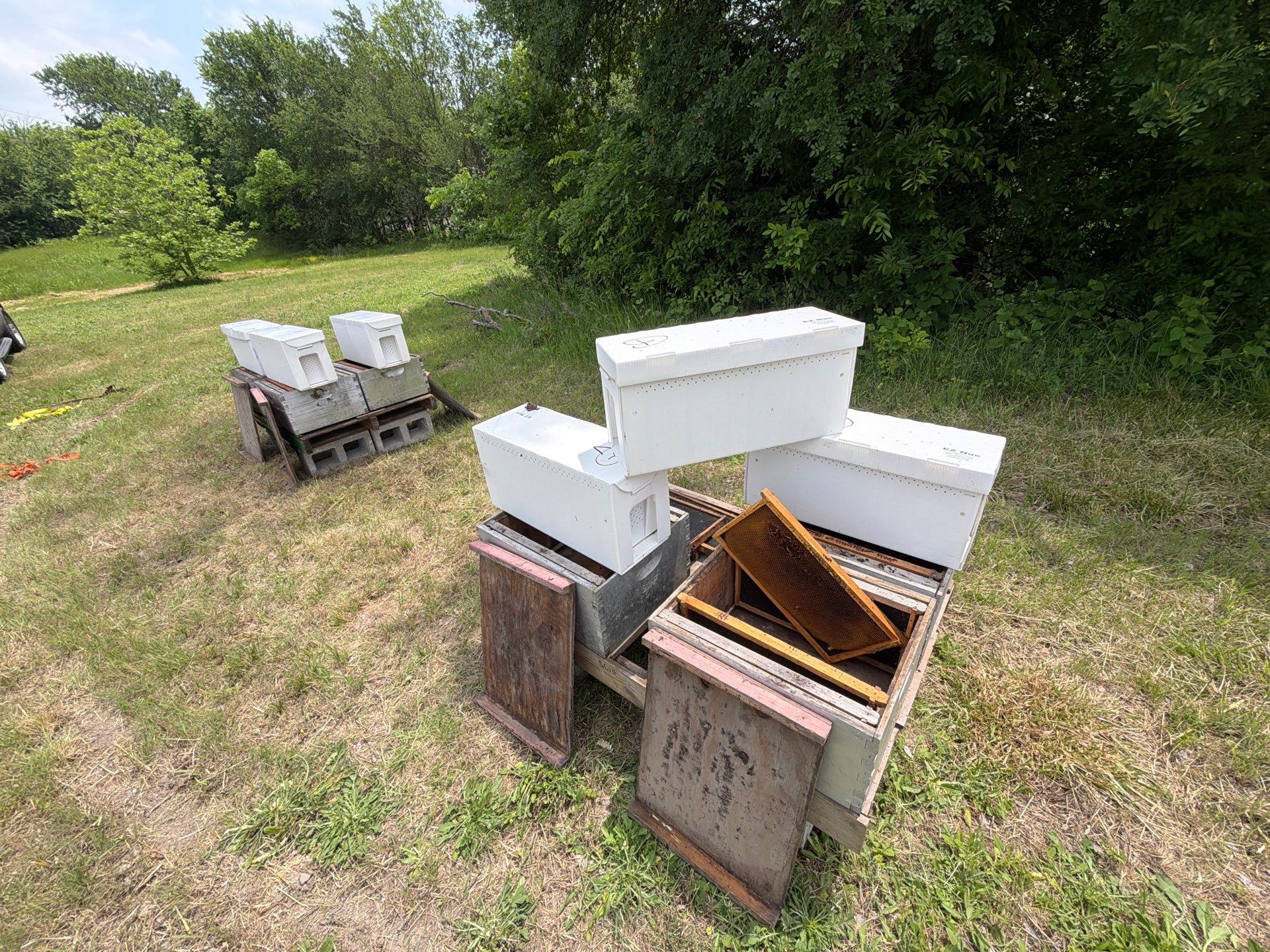 Ag. Exempt in Anna by Rockwall Honey Bee Company