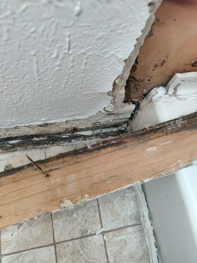 Mold Remediation  by Accountable Home Services