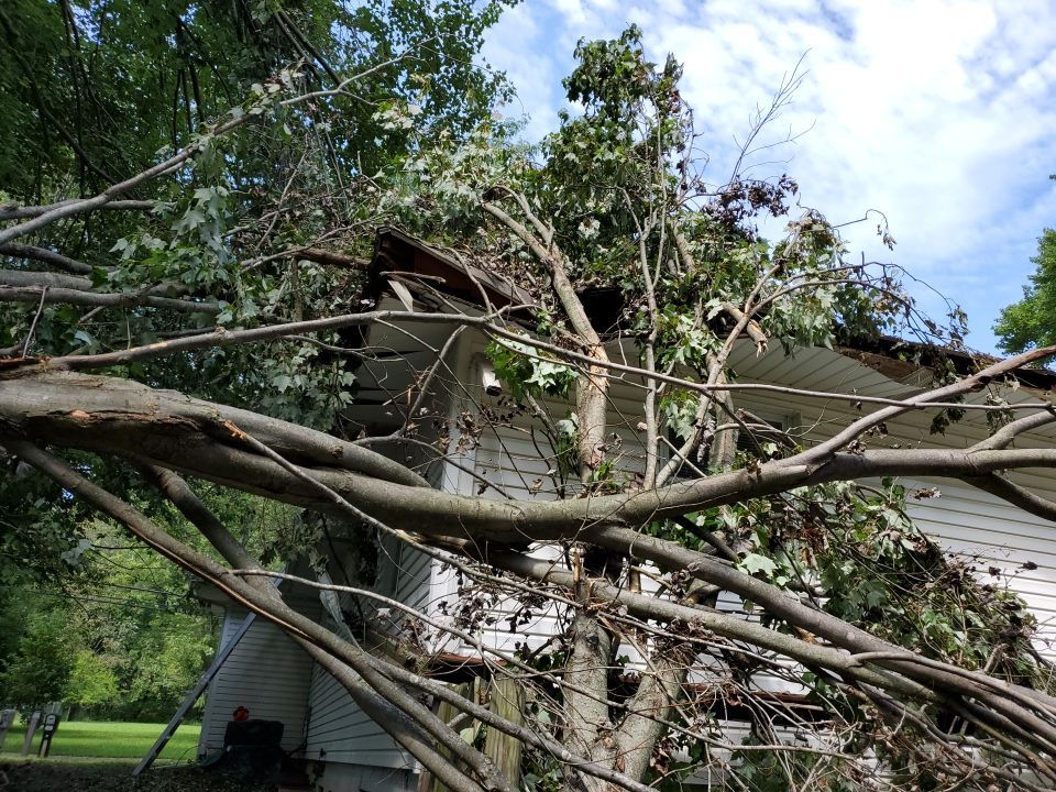 Storm Damaged Tree Removal  by Mike Jones & Sons Tree Service LLC 
