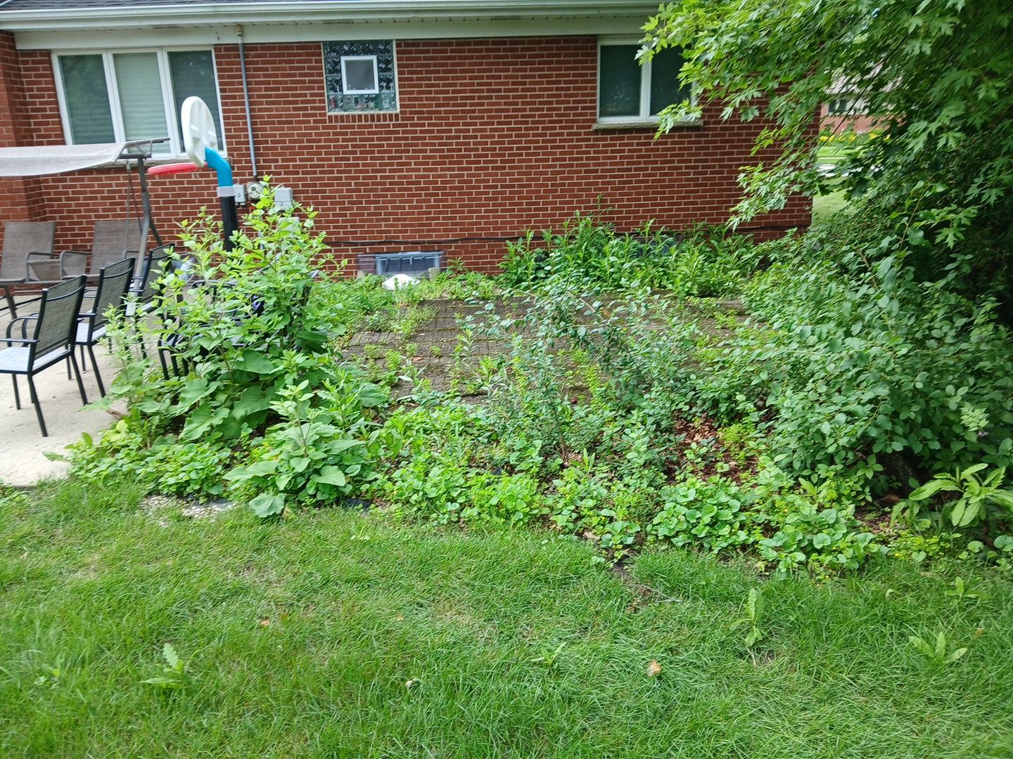 Justin M. - Mount Prospect, IL by A&N 