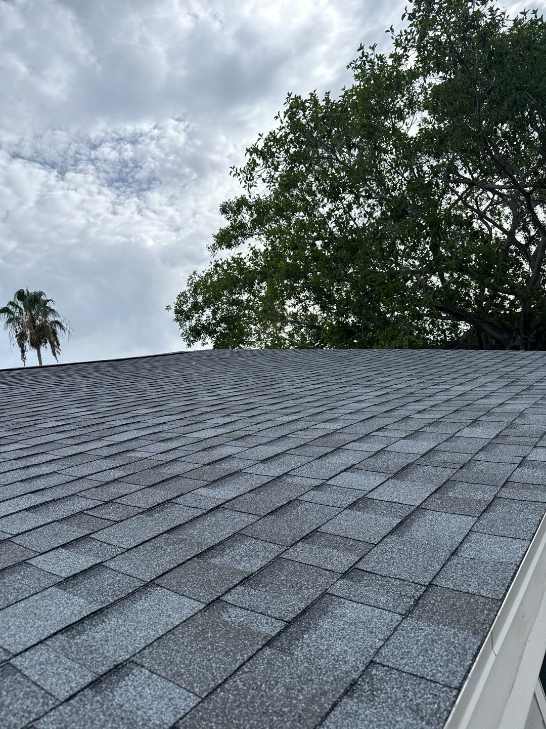 Project in St. Petersburg 33703 by Mitchell Roofing Company LLC 