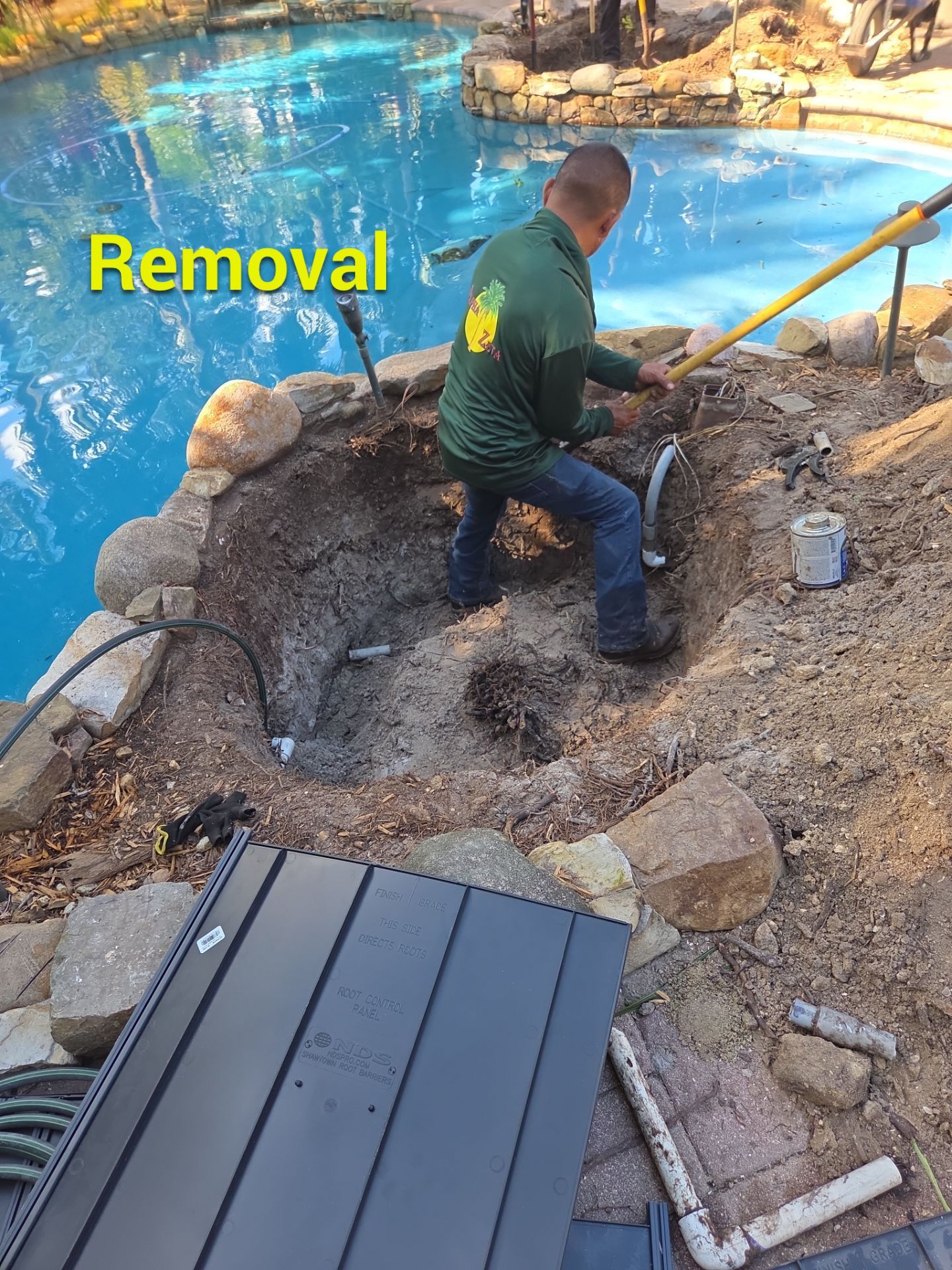 Palm Perfection & Poolside Restoration in Lighthouse Point by Alpha Zeta Enterprises Inc