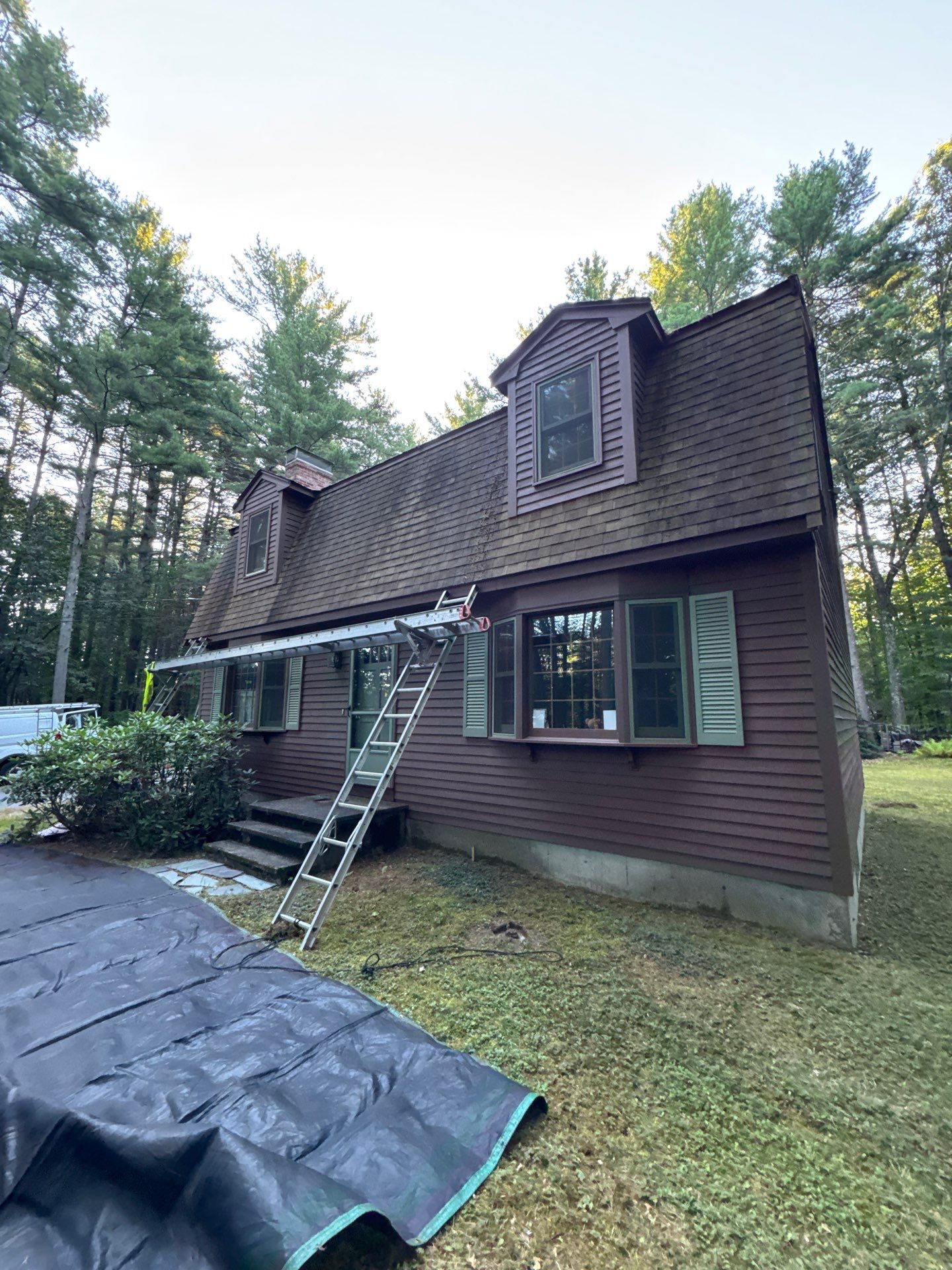 Roof Replacement ��– Rosalie Brown, MA by Mighty Dog Roofing of Greater Middlesex County
