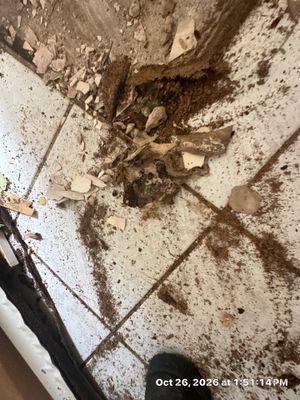 Water Damage Restoration — Naples, FL