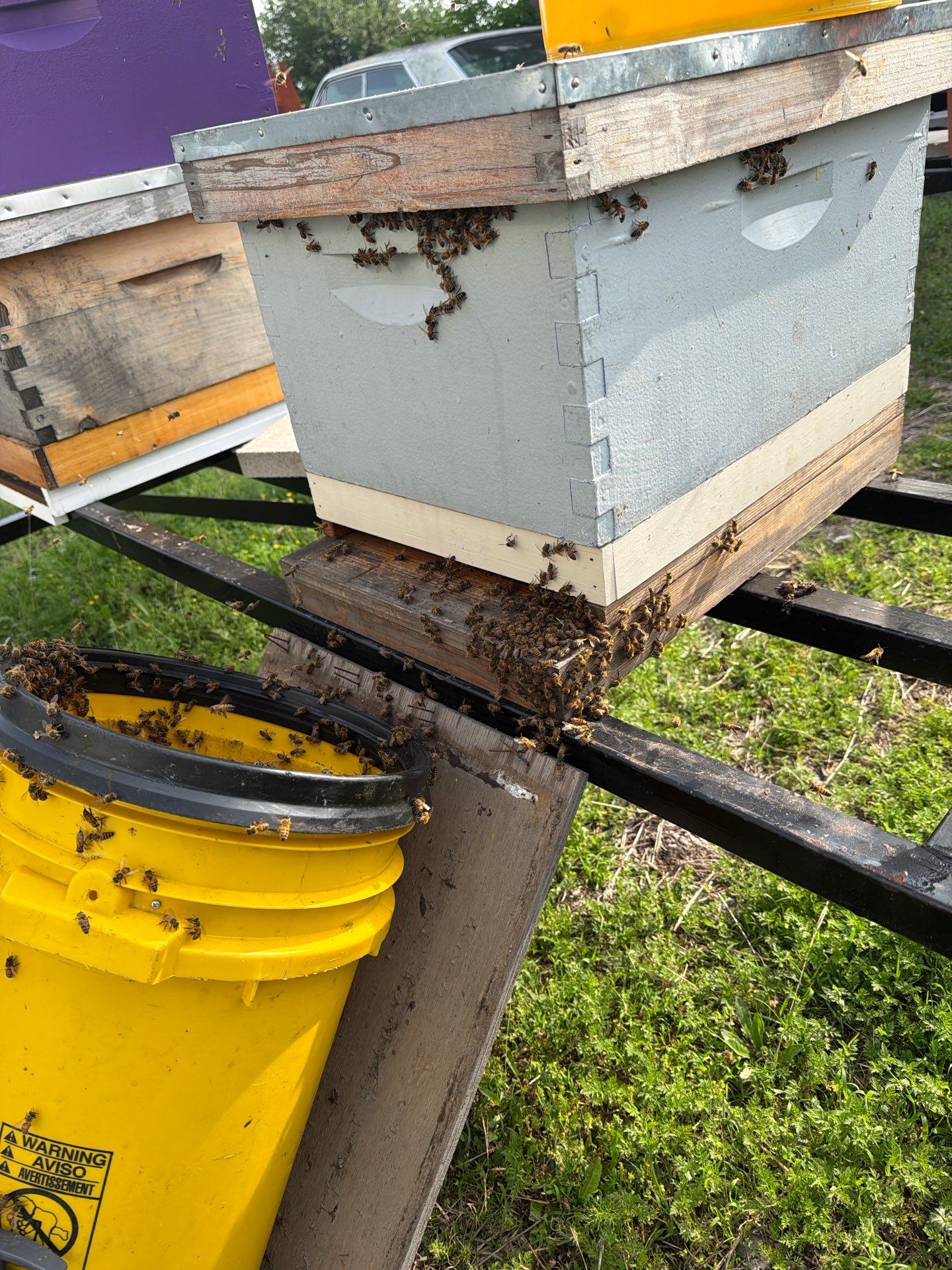 Brick Column by Rockwall Honey Bee Company