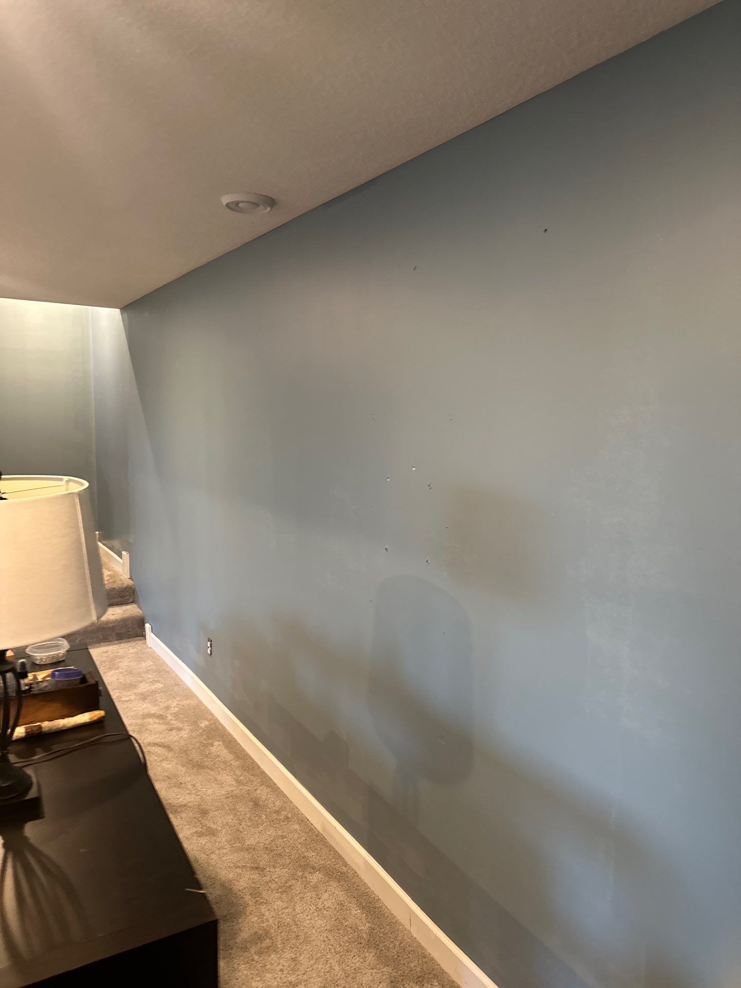 Project in Lakeville, MN by Trinity Painting & Renewal Services