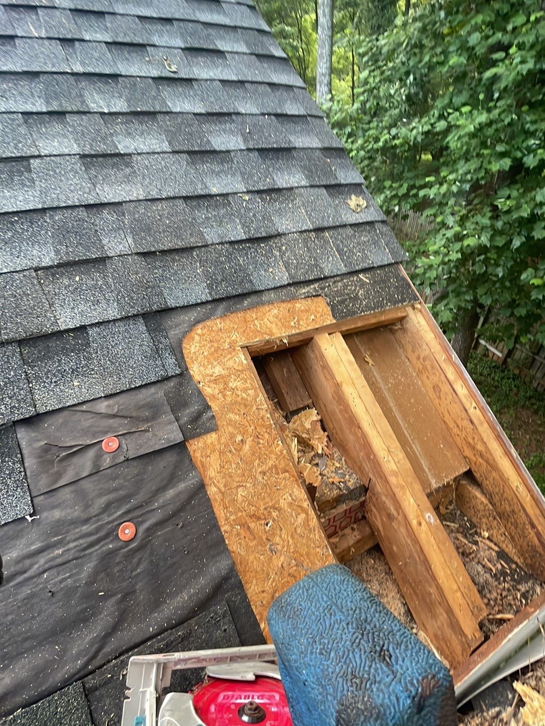 🌳 Tree Limb Hole Repair by Georgia Roof Advisors