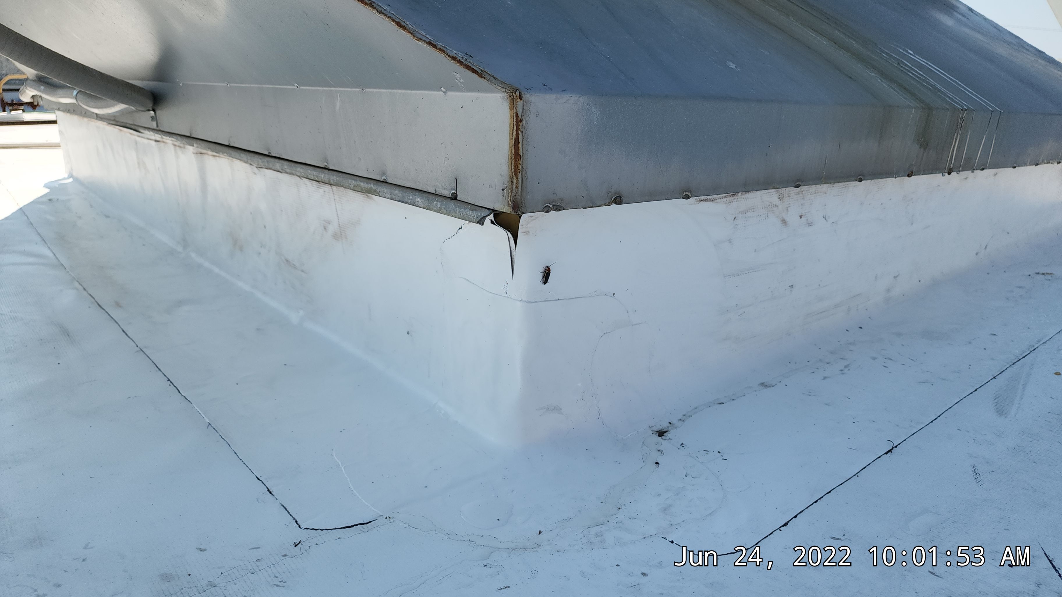 Commercial Roofing Installation using 50 mil PVC by Hostetler Roofing