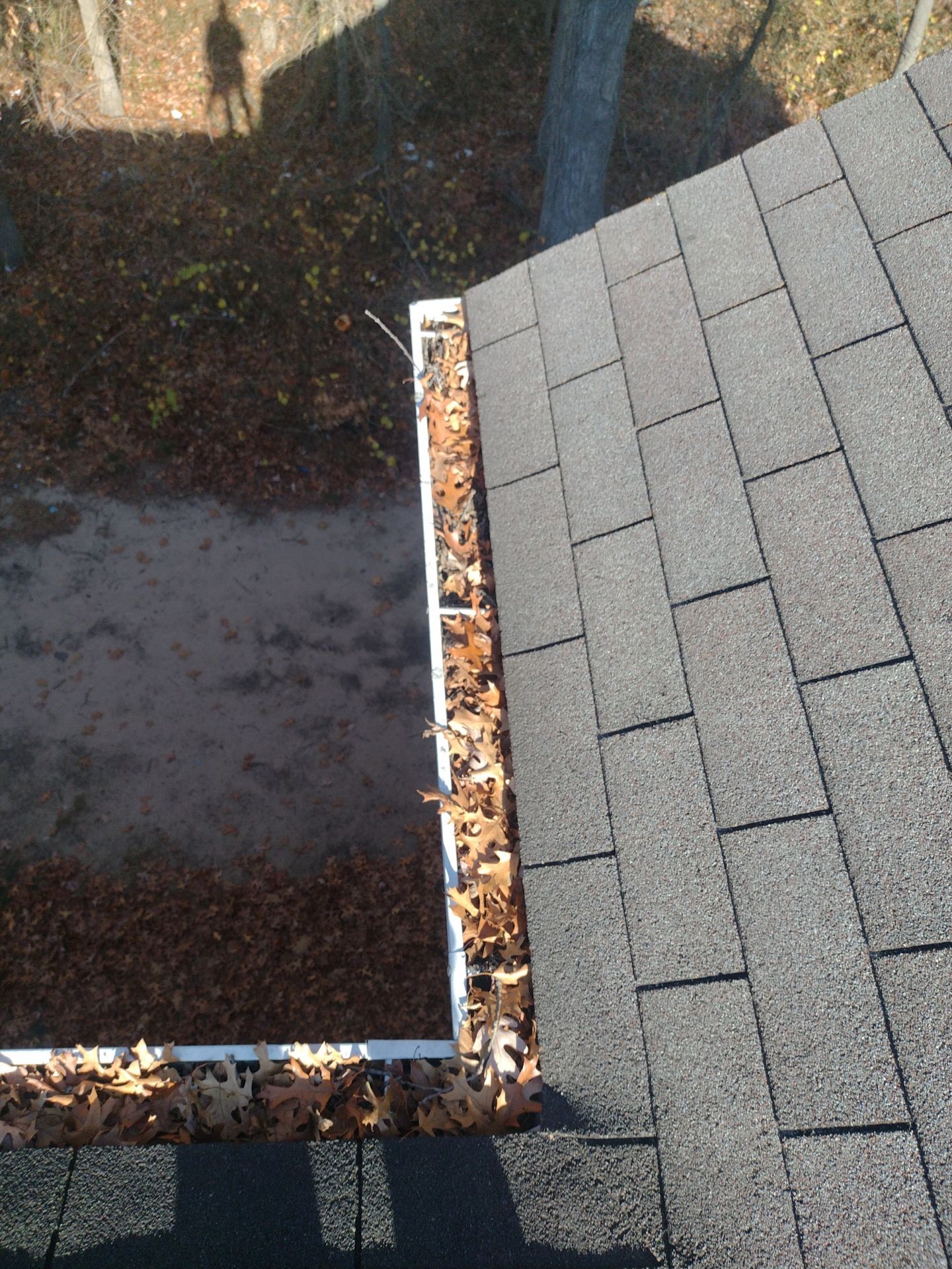 Commercial gutter cleaning Holland & Muskegon, MI before photo with filled gutters