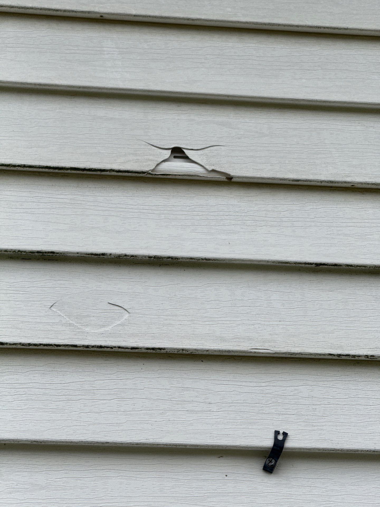 New roof & siding paid by insurance. Along with new roof sheathing.  by In & Out Construction & Remodeling, LLC