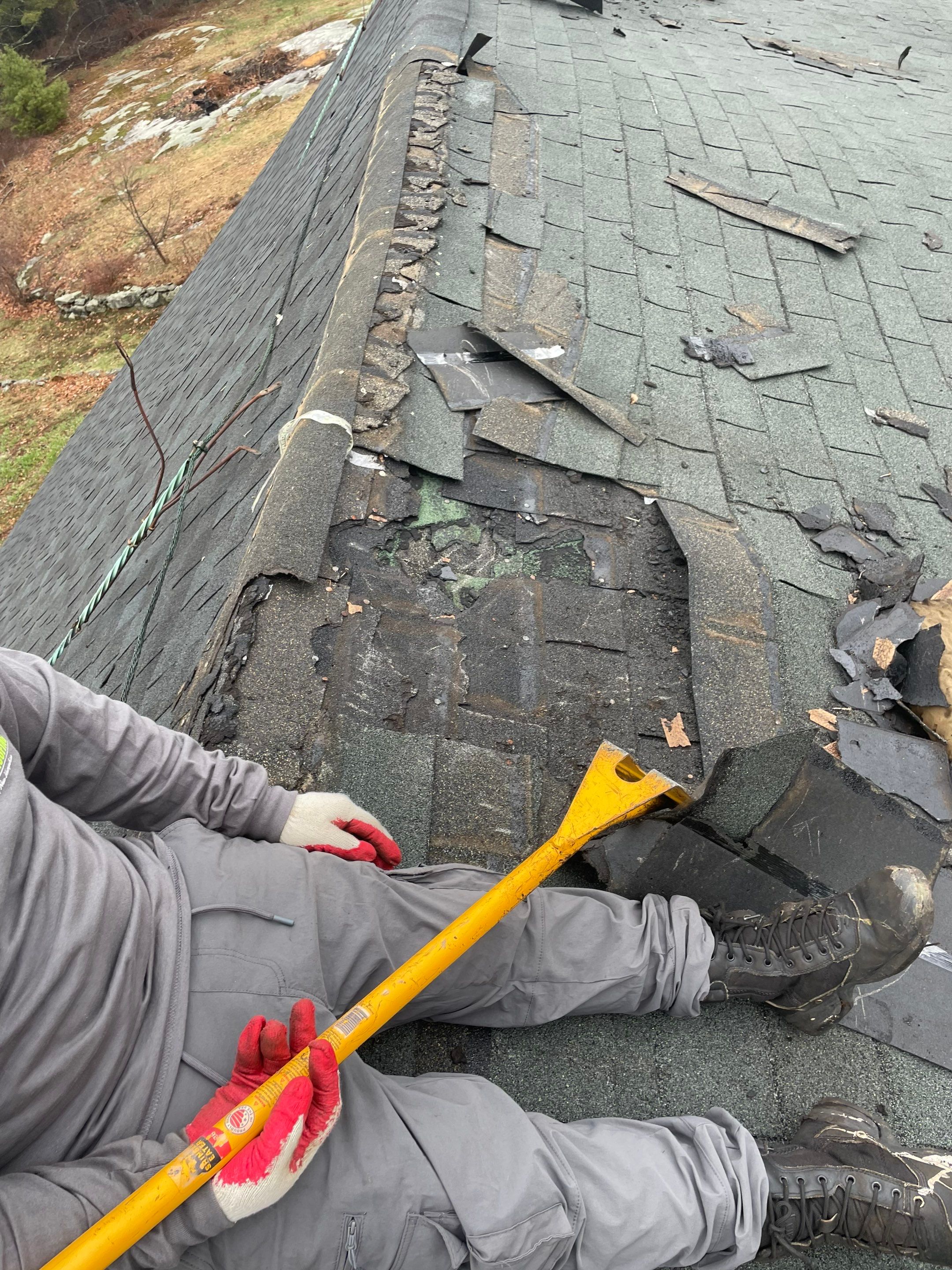 Architectural Shingle Roof Replacement for Red Barn in Falmouth by Tall pine roofing