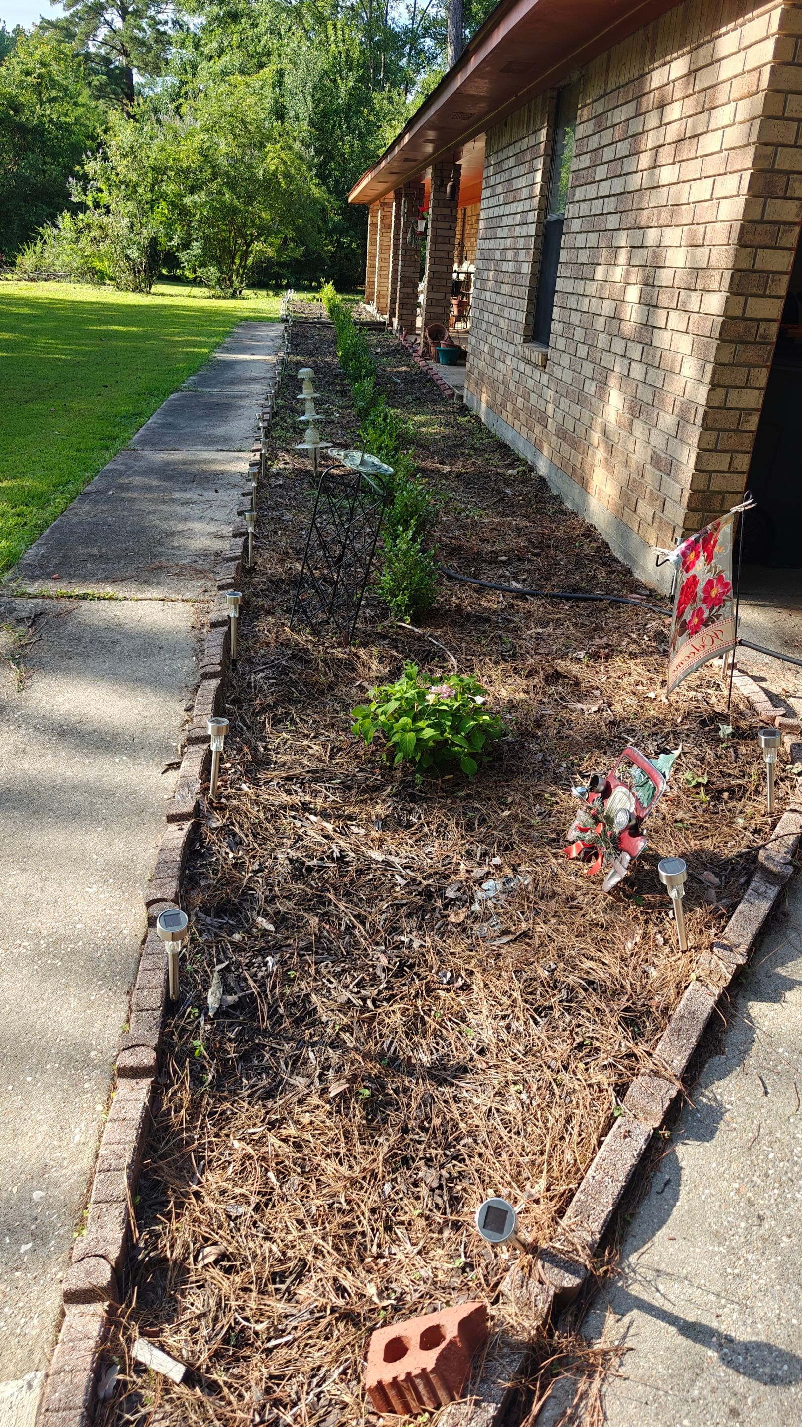 Bi Weekly Landscaping/ Weeding  by College Bros Outdoor services