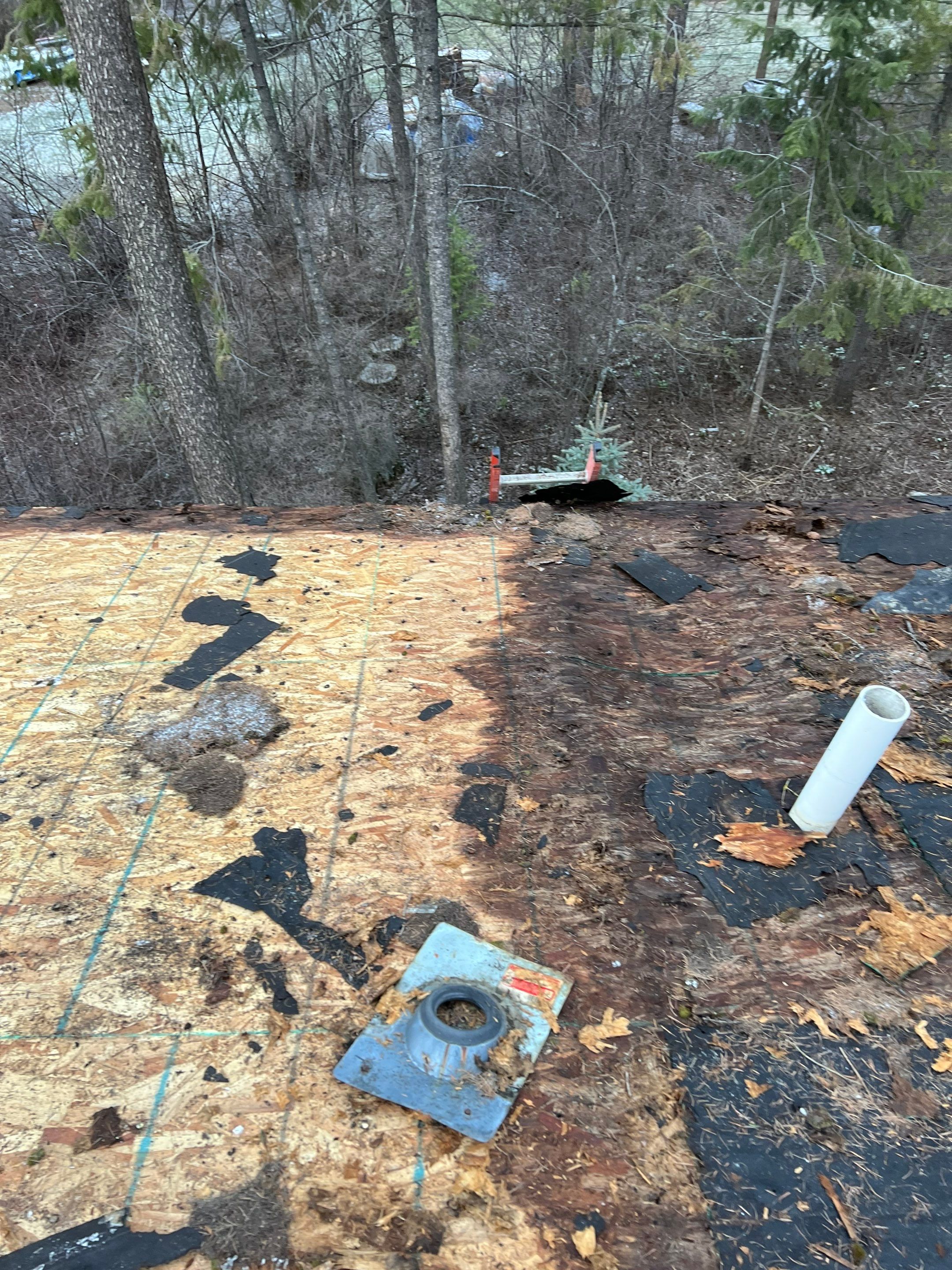 GAF Timberline HDZ - Hunter Green by Montana Roofing Solutions