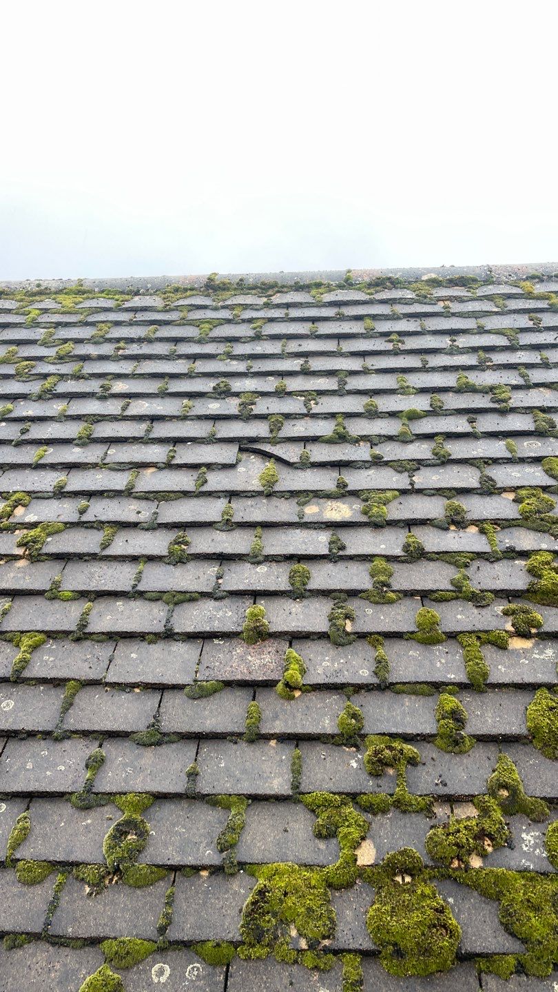 Roof Clean - Biocide Treatment using Honda 15lpm Low Pressure Washing Machine by Ges Exterior Cleaning ltd