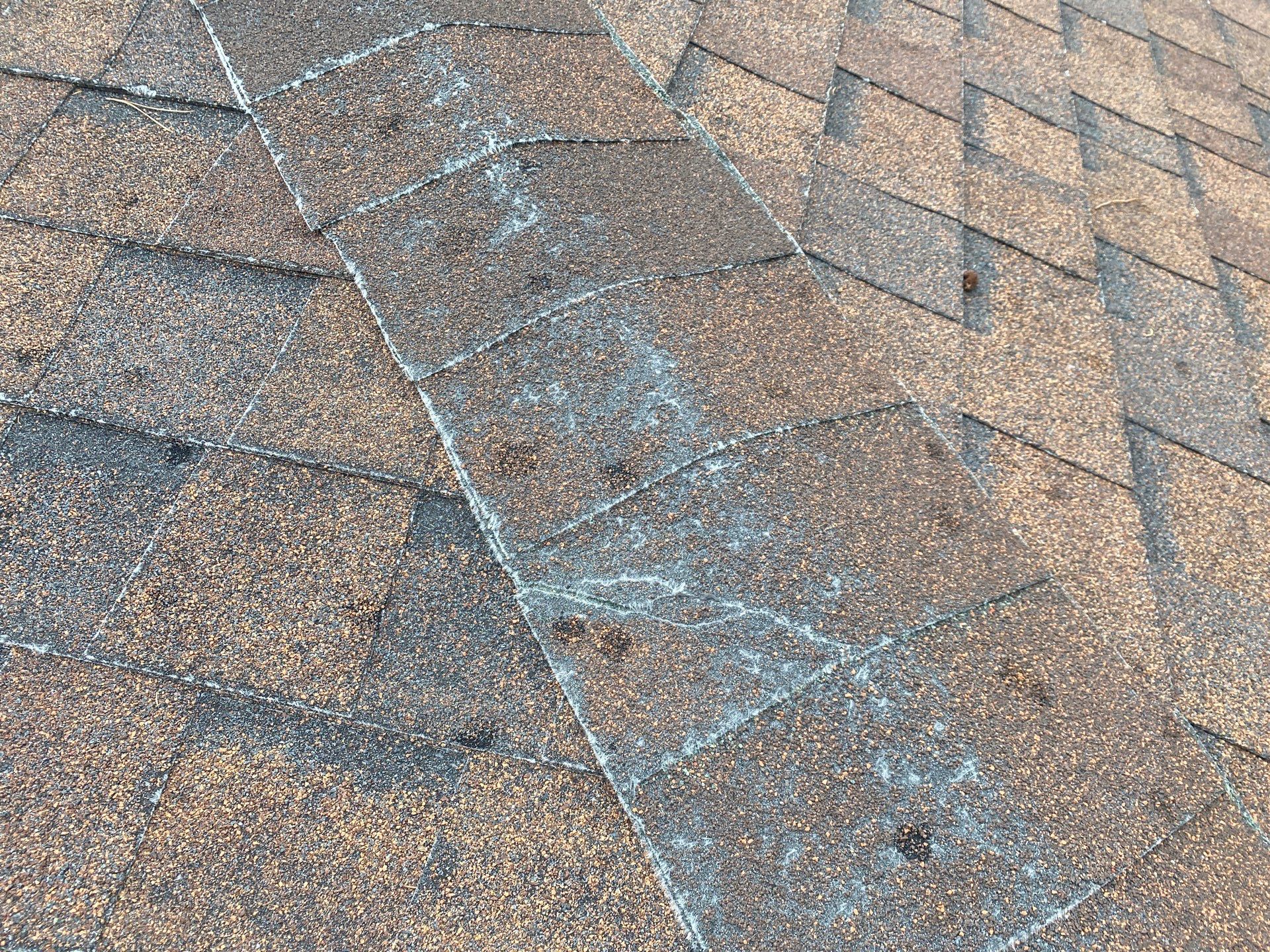 Graphite Shingles by Reimagine Roofing