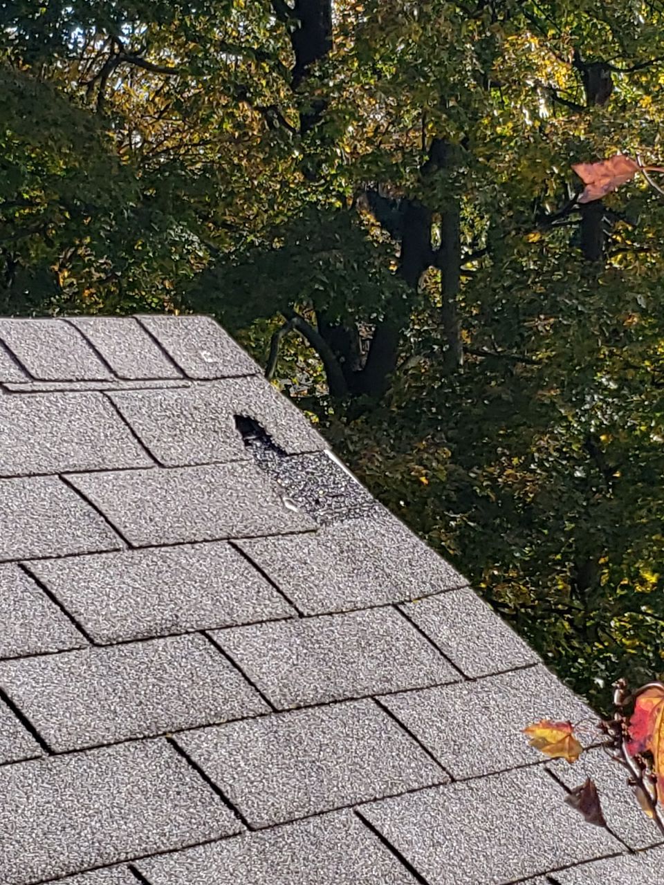 ATLAS PINNACLE SCOTCHGARD COLOR: PEWTER DRIP EDGE: BLACK by Eagle Eye Roofing