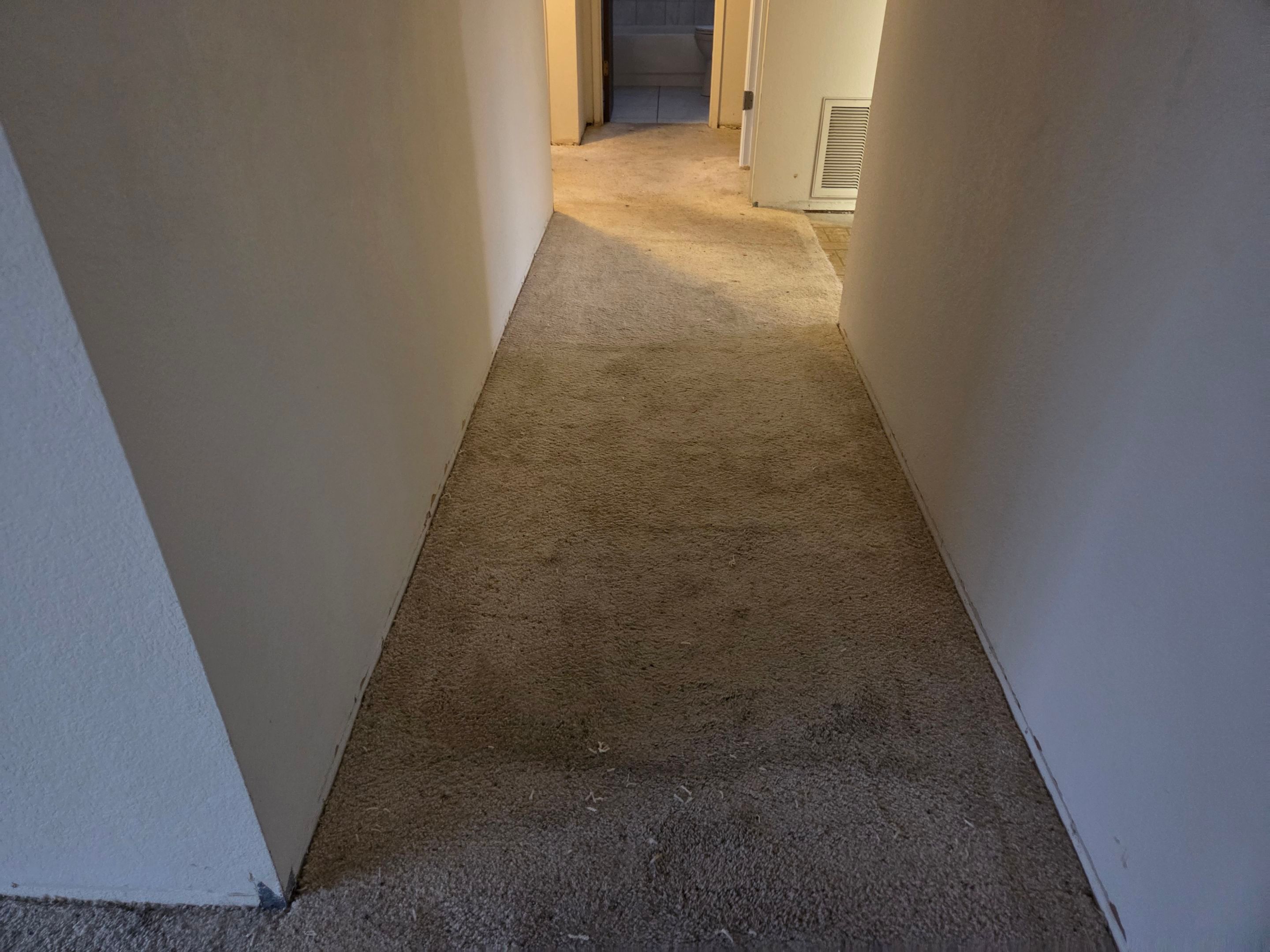 Carpet Re-stretching & Cleaning in Rosemont by Ardent Carpet Restore LLC