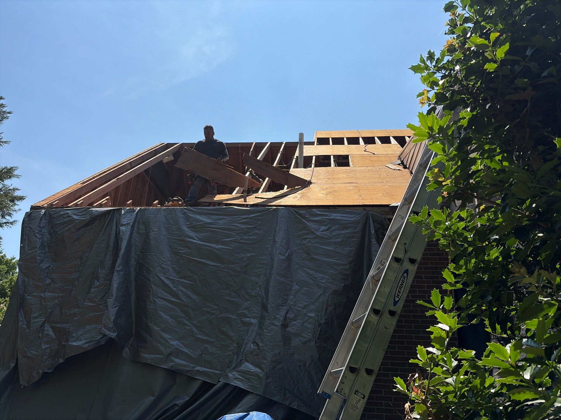 Roof Tree Damage- Repair Roof Framing and Replace Shingle Roof System In Belle Meade  by Roofworx 