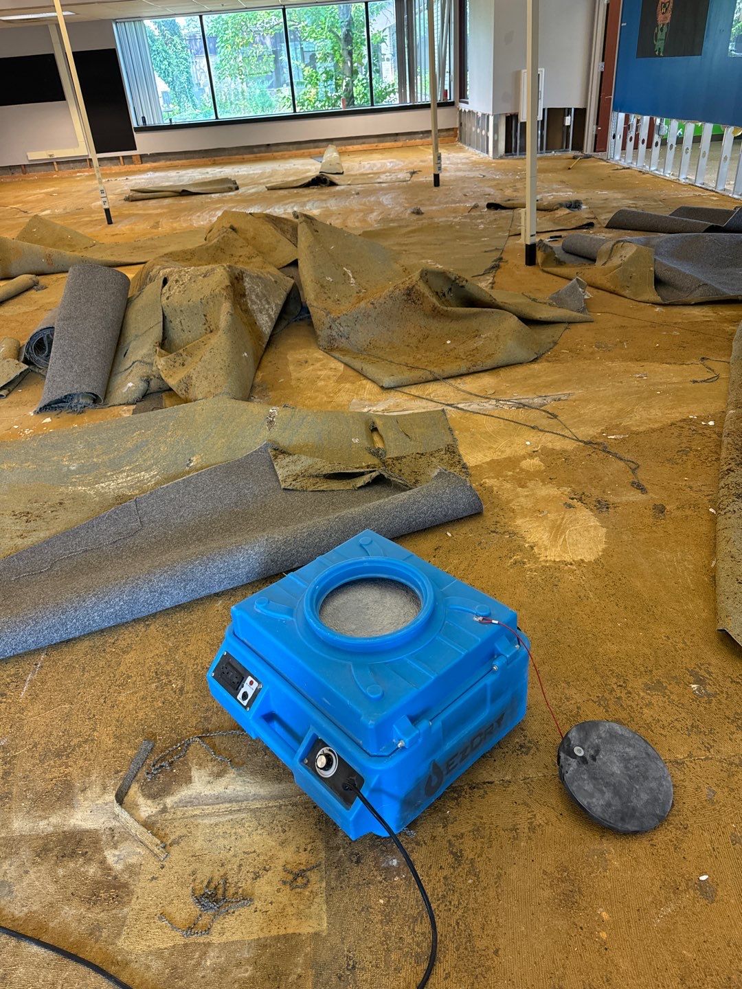 Project in Warren by EzDry Water Mitigation & Property Restoration