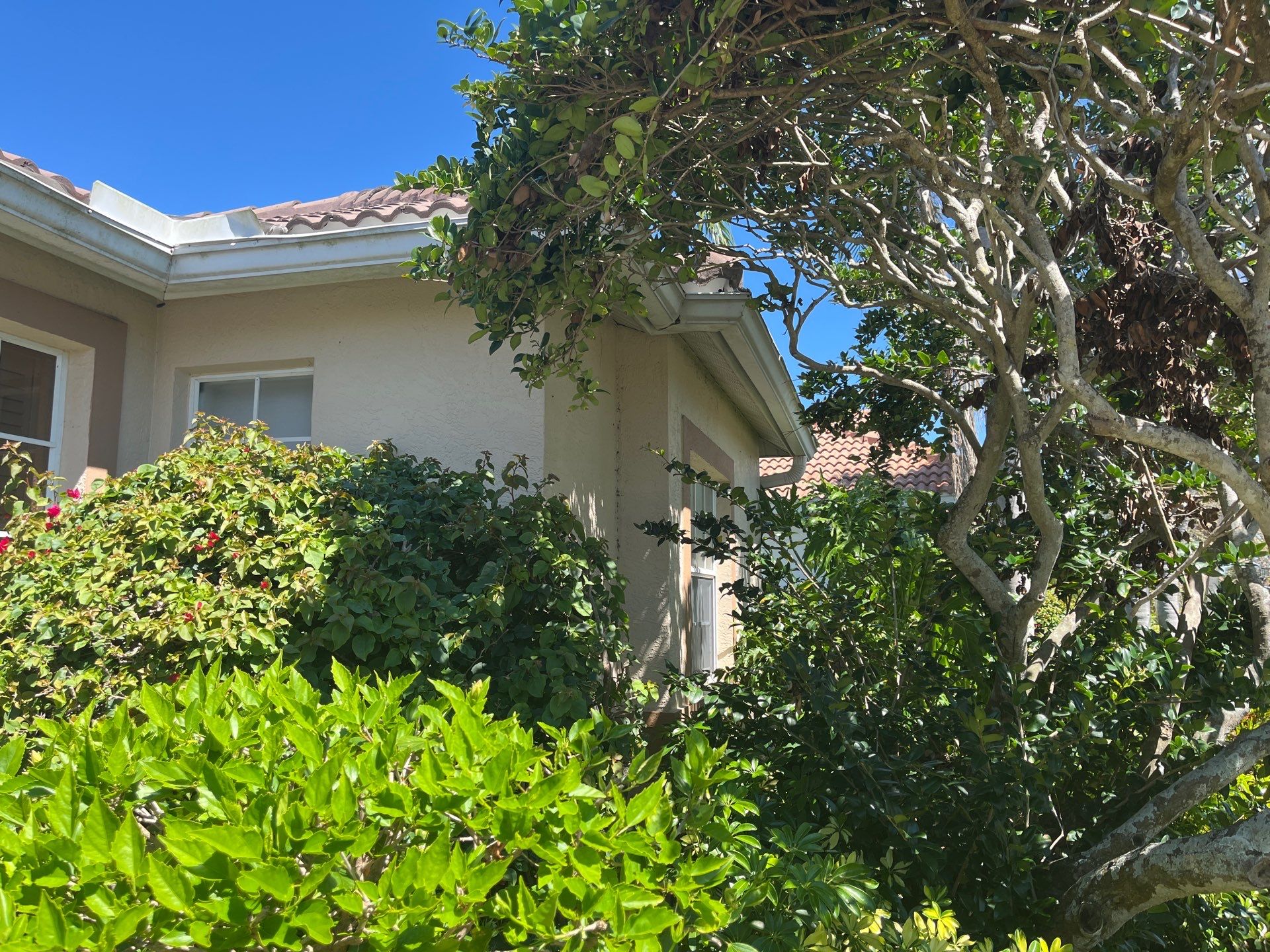 7 inch seamless gutters using K-Style Seamless Gutters in Sarasota FL by Gutter Professors