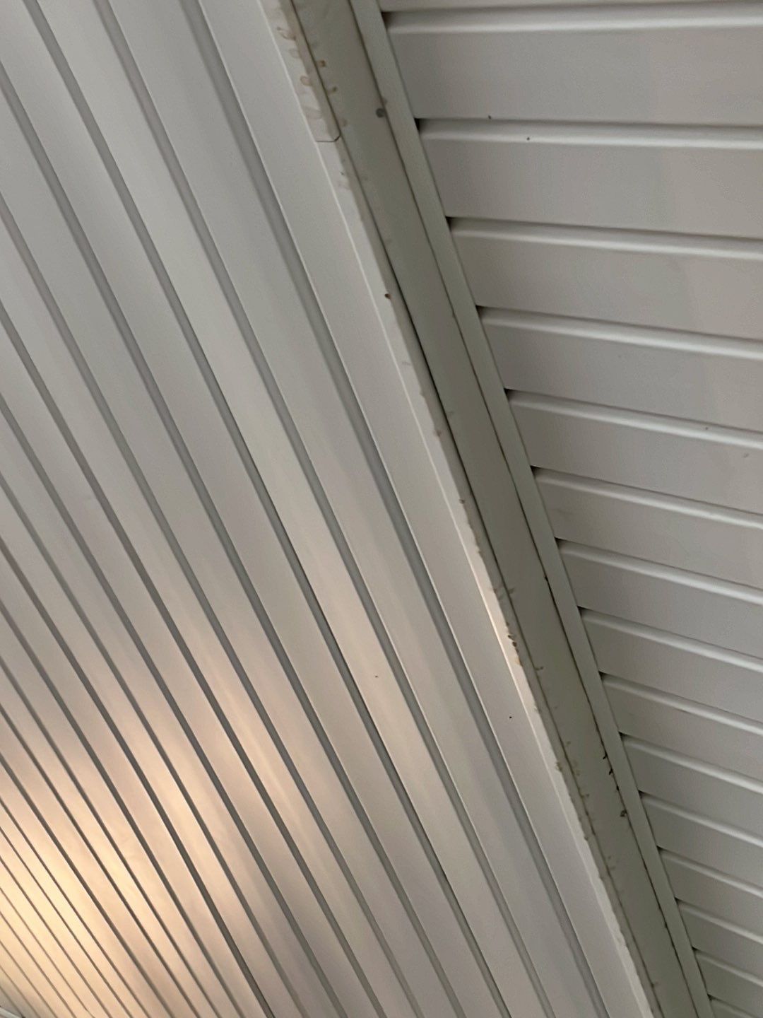 Burke: Multi-Trade Tree Damage Restoration by RM Banning, Inc.