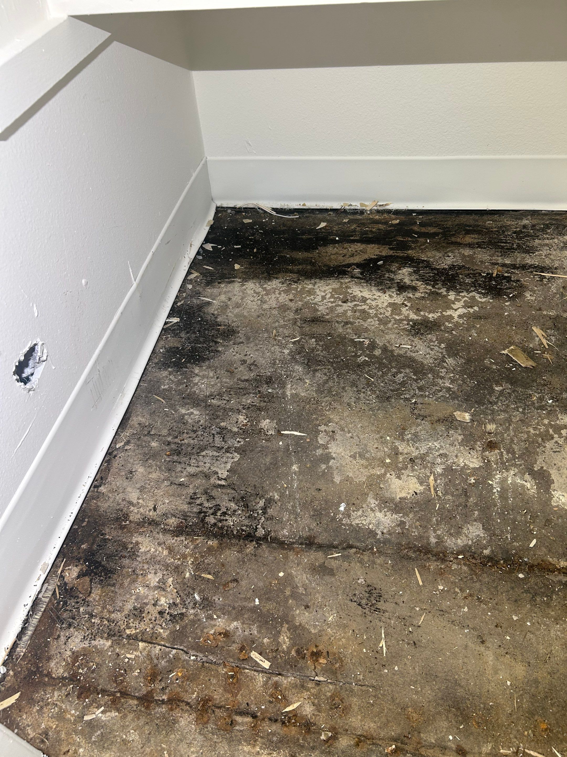 Project in Thornton by Accountable Home Services