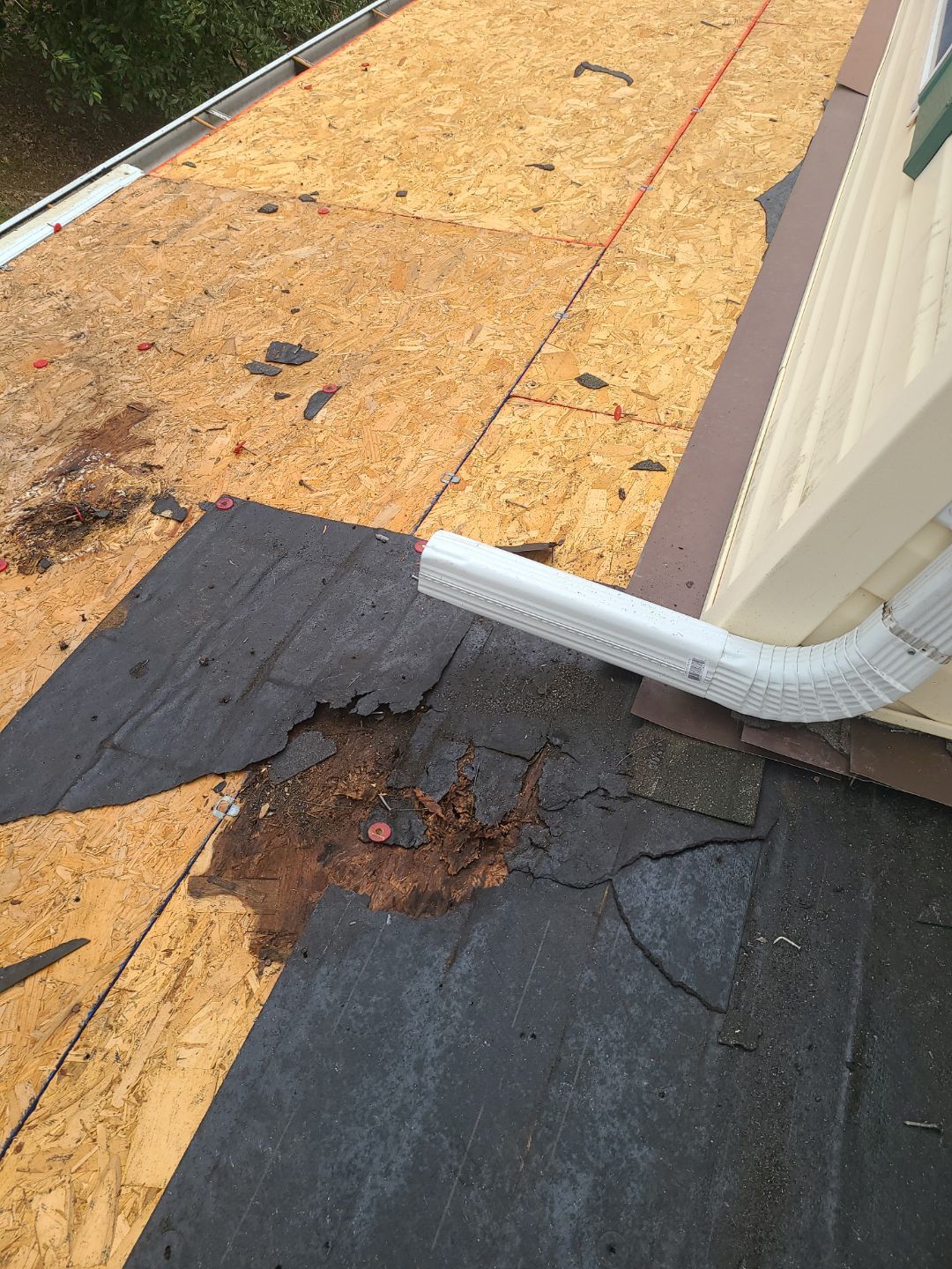 Falls Church: Residential Roof Replacement with CertainTeed Landmark Pro in Max Def Colonial Slate by RM Banning, Inc.