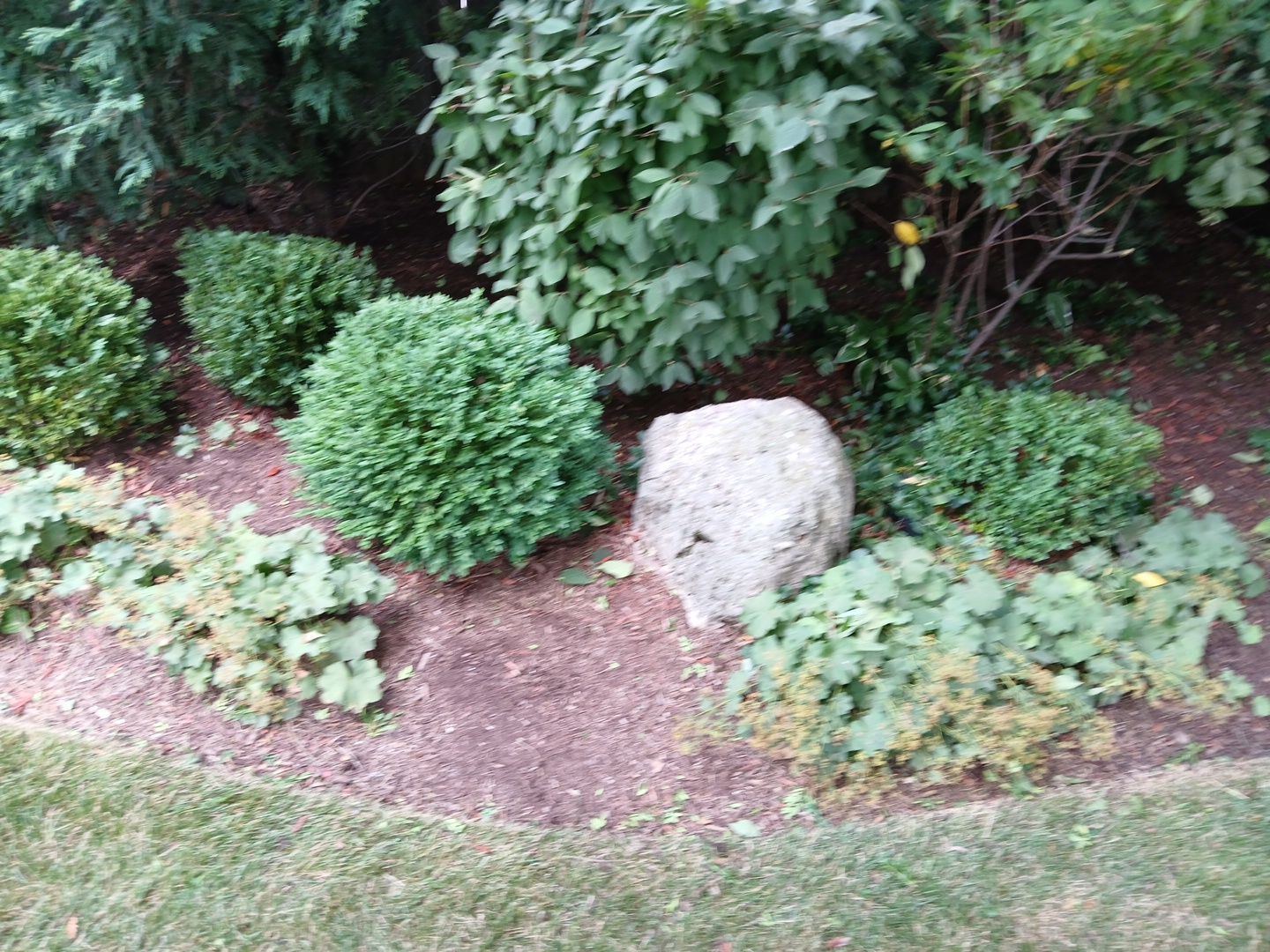 Michael I. - Glenview, IL by A&N 