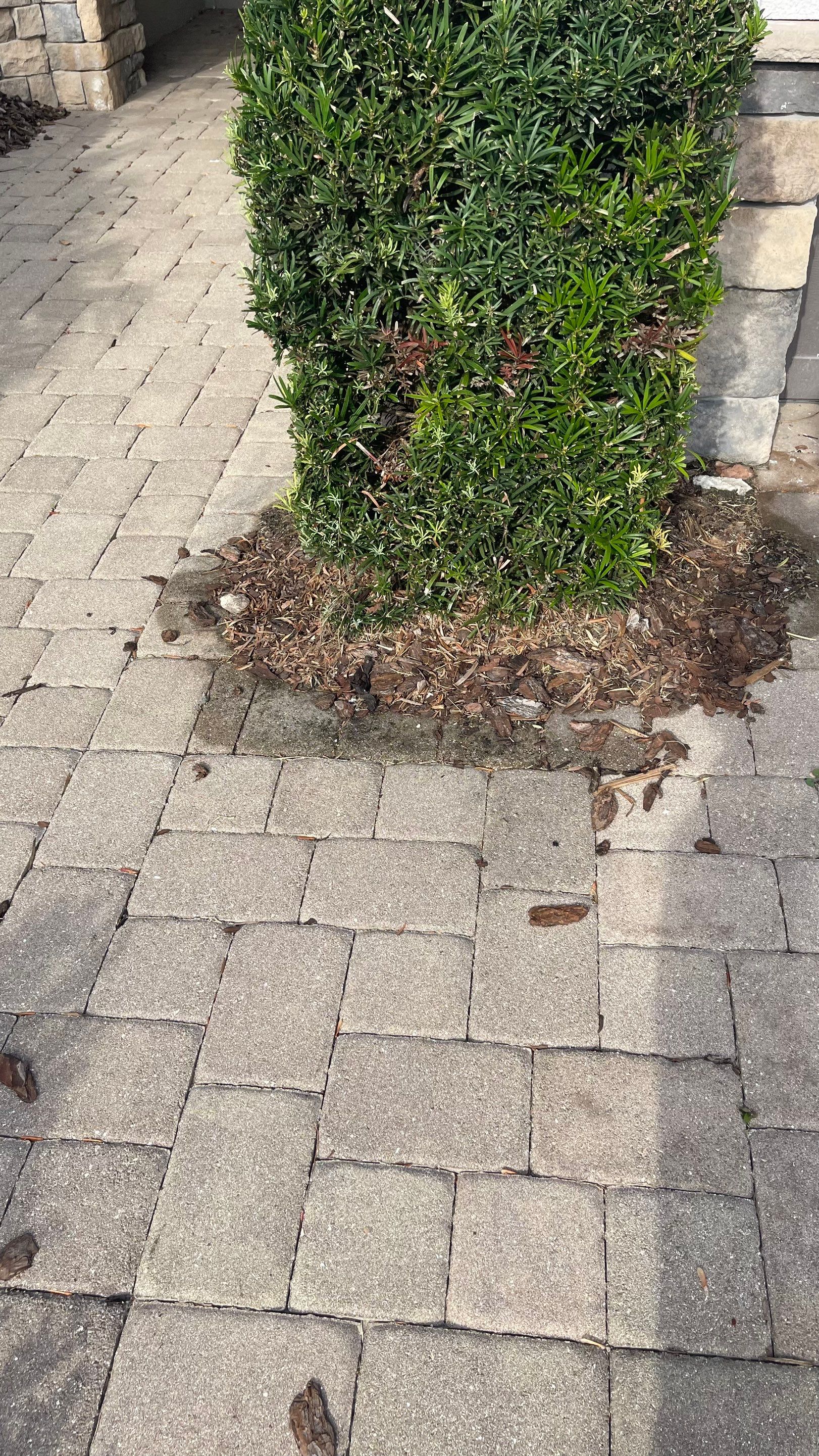 Concrete Tile Roof, Paver Pool Deck, Screen Enclosure & Driveway Cleaning in Artisan Lakes Esplanade, Palmetto, FL | Sunshine AquaWash by Sunshine AquaWash