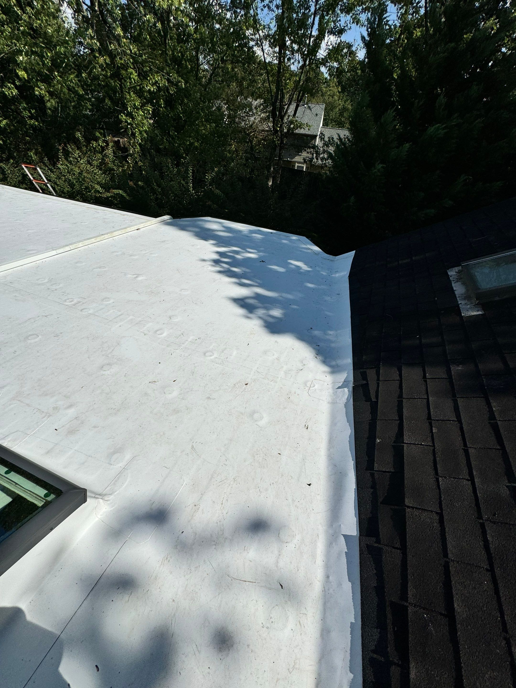 Alexandria: Residential Flat Roof Replacement with MuleHide TPO by RM Banning, Inc.