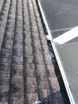Seamless Gutter Cleaning Before the Rainy Season in Lehigh Acres, FL