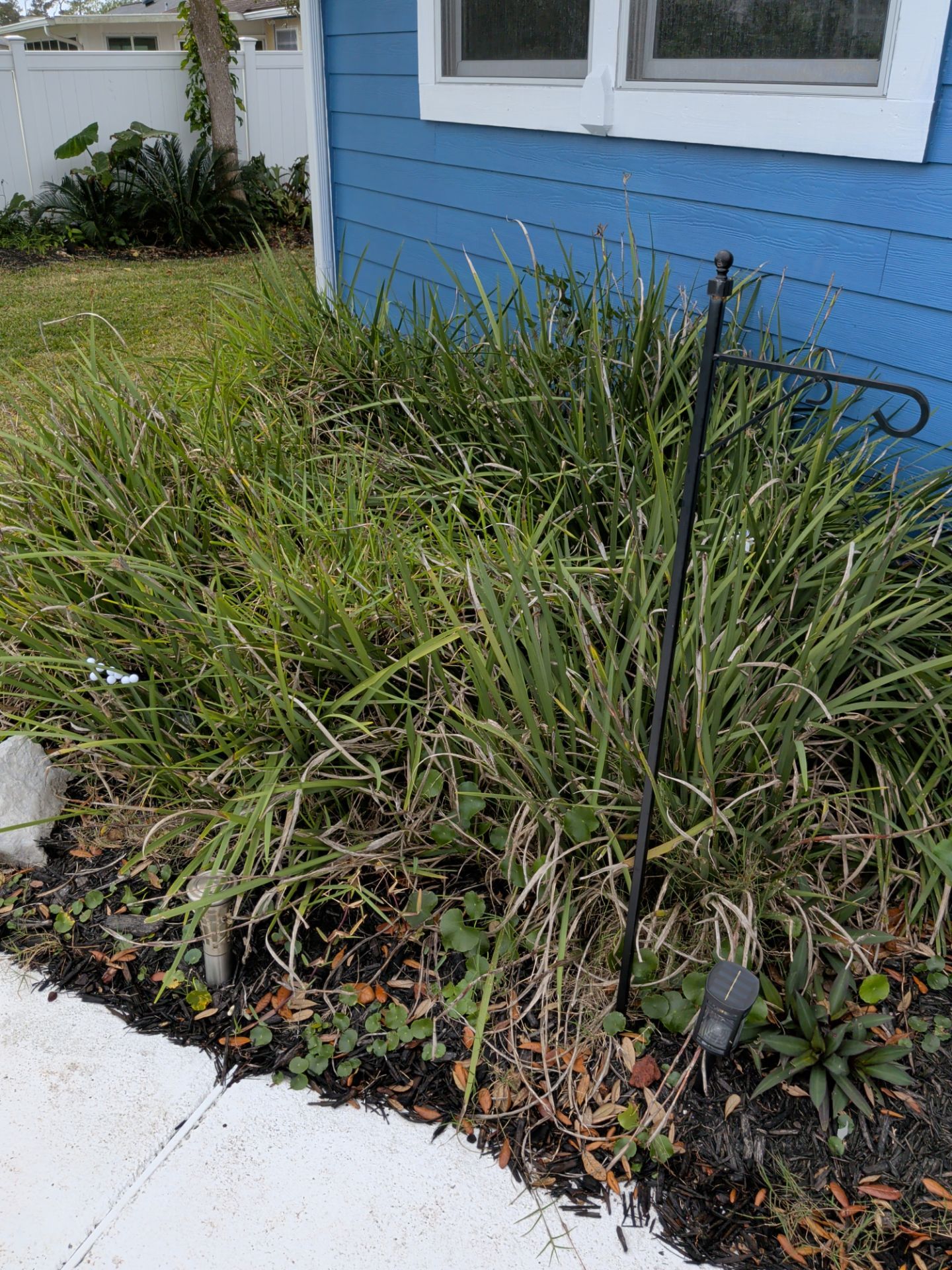 Flower Bed & Property Cleanup San Pablo area — Jacksonville Beaches, FL by Harmoni Home Services