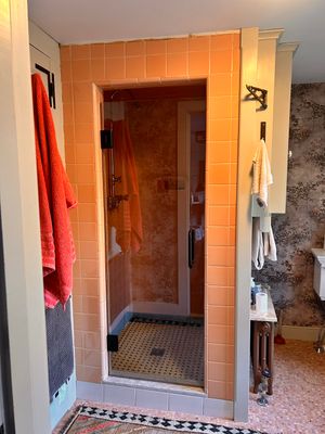 Frameless Shower Door