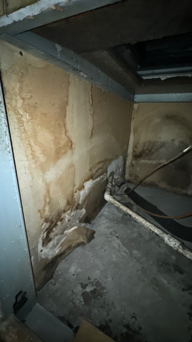 Commercial Air Duct Cleaning in Tavares by Hygienic Air, Inc