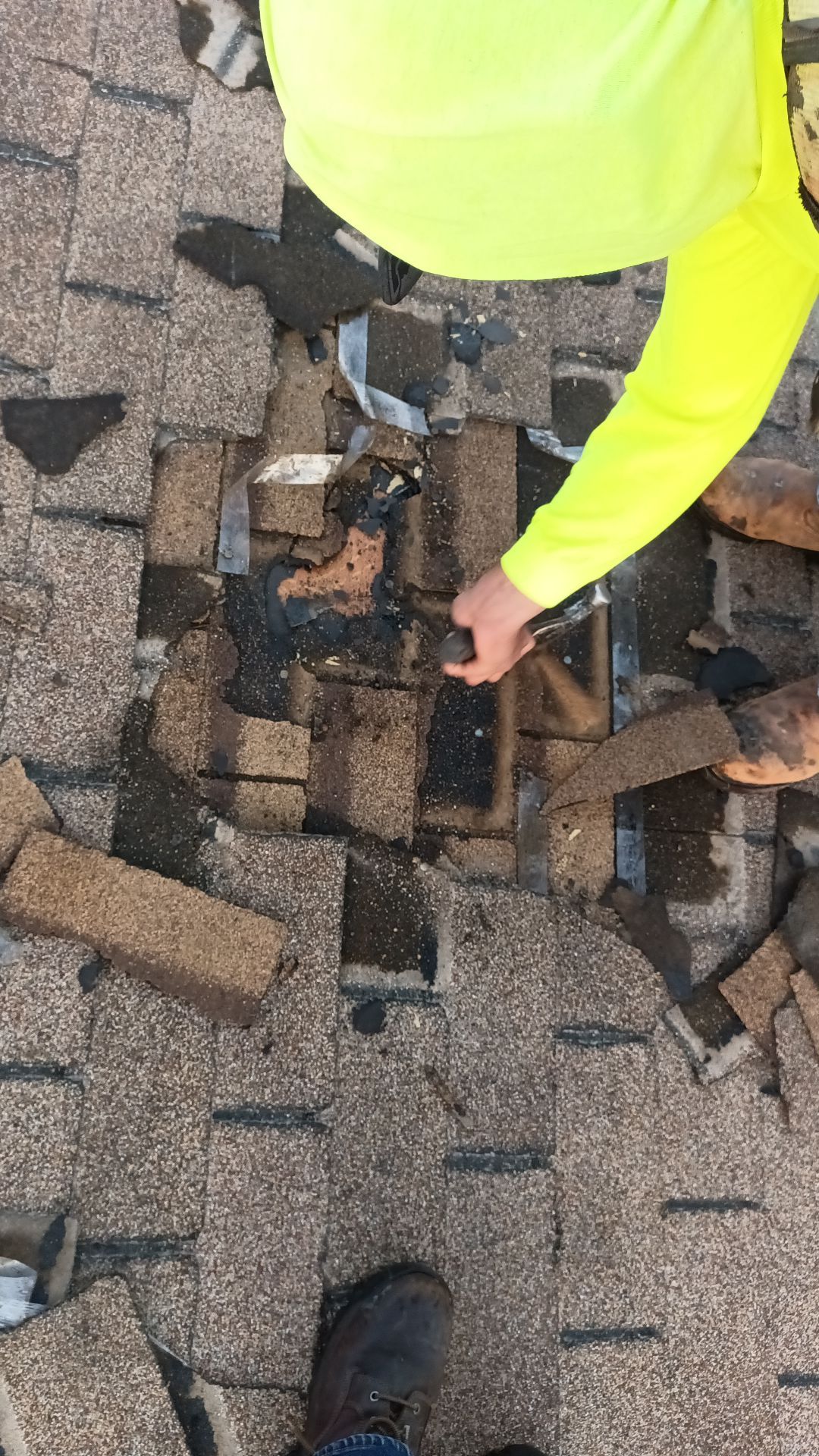 Autumn Brown Shingles by Reimagine Roofing