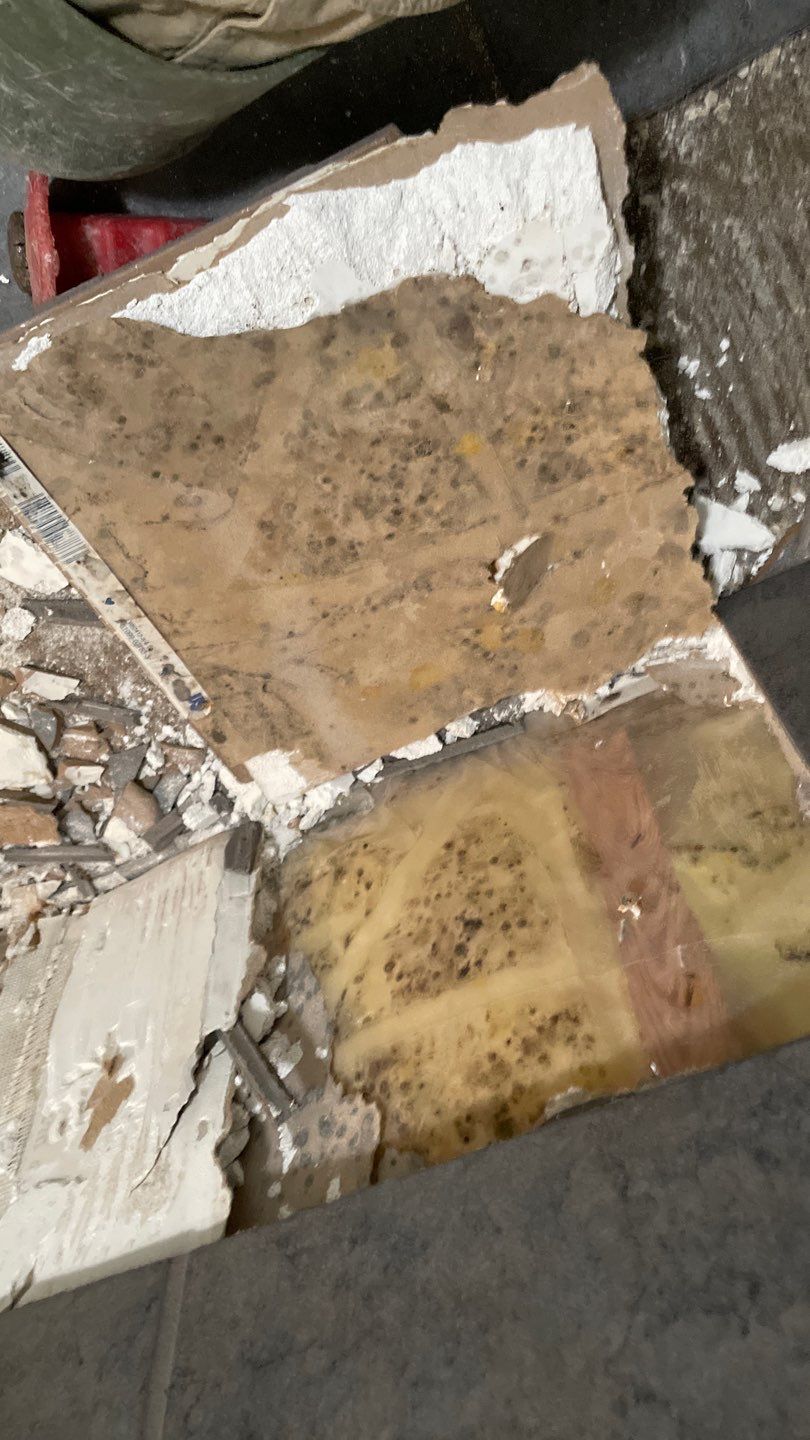 Drain Tile in Circle Pines by Waterproofing Northeast