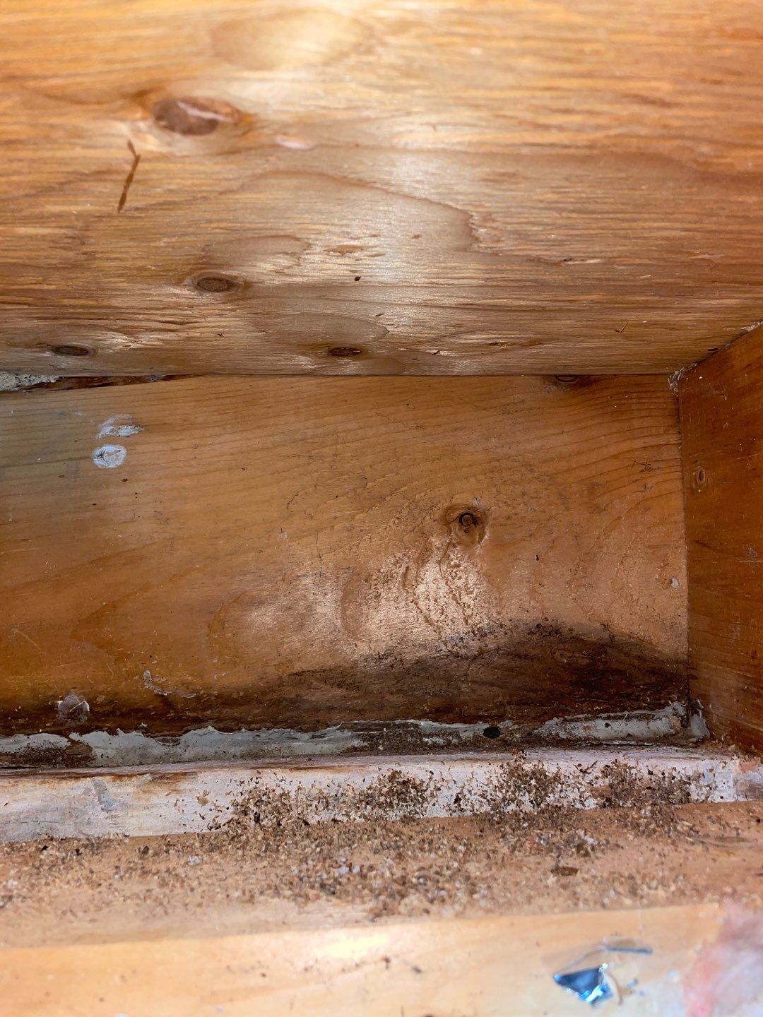 Demolition after Infra-red inspection  by Eco-Nature Construction Inc.