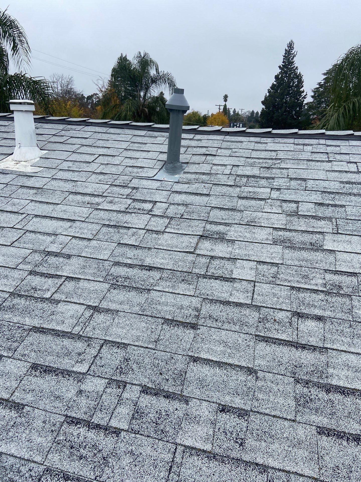 Roof Rejuvenation using Roof Maxx Treatment by Roof Maxx of Folsom