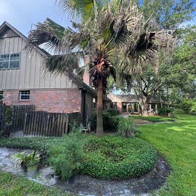 Deerwood Resident | Palm Tree Trimming & Booting