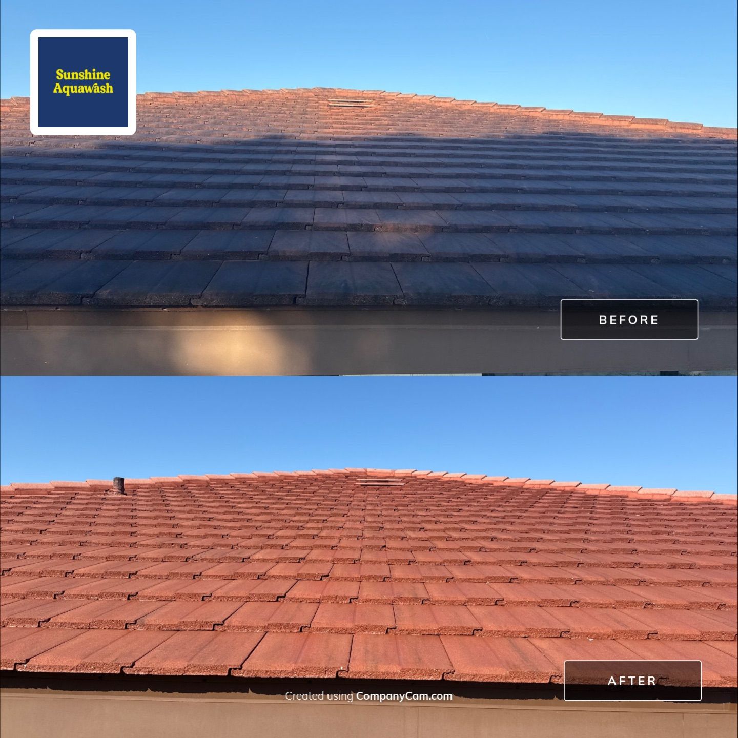 Tile Roof Cleaning – Vivenda at Bradenton I (5-Star Review & Plant Protection) by Sunshine AquaWash