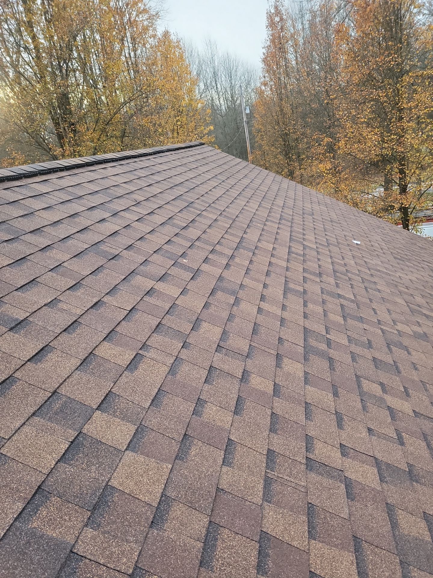 ATLAS PINNACLE COLOR: BURNT HICKORY DRIP EDGE: ROYAL BROWN by Eagle Eye Roofing