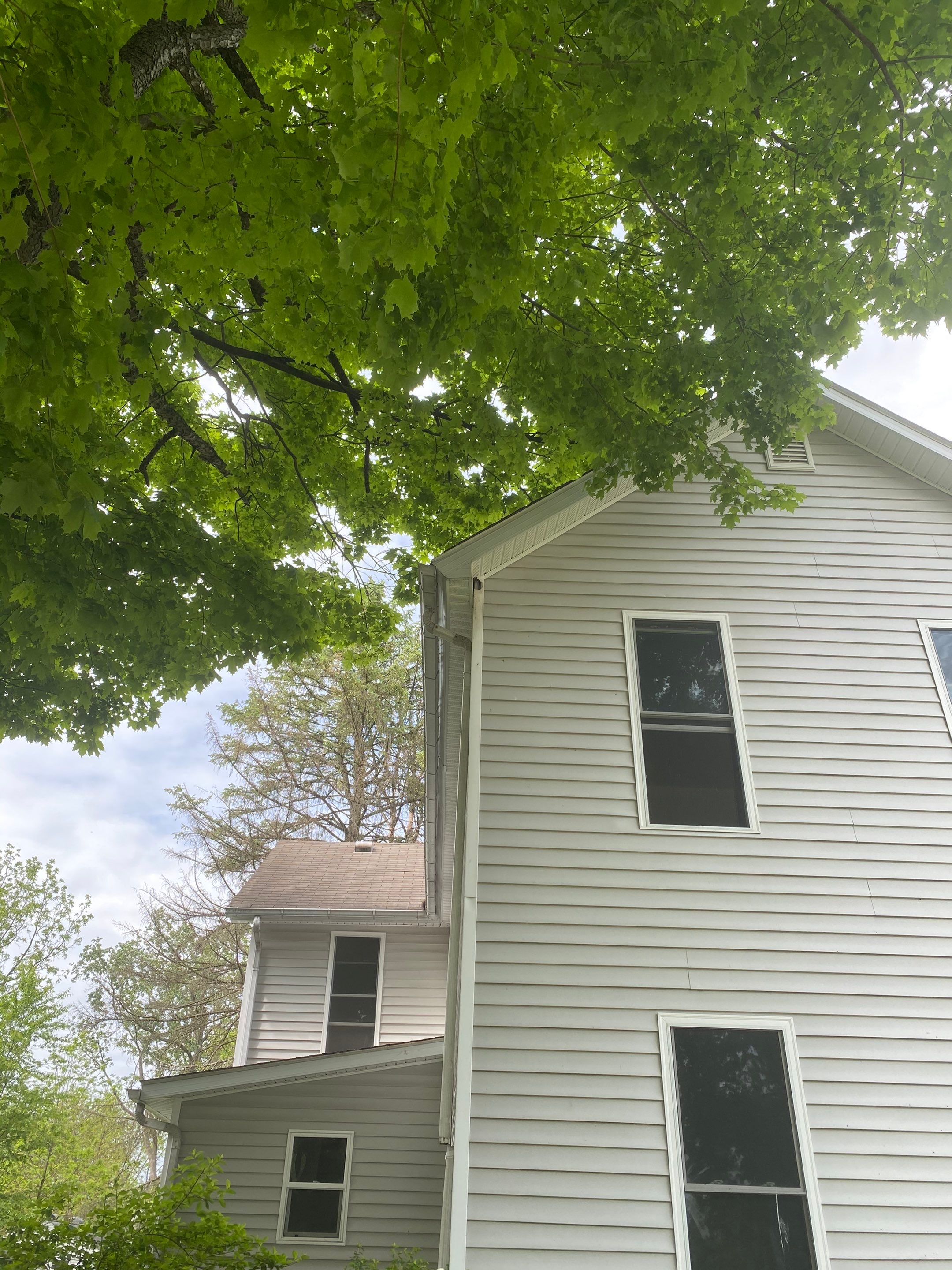Tree Trimming using Tree Pruing by Mike Jones & Sons Tree Service LLC 