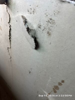 Water Damage Restoration — Naples, FL