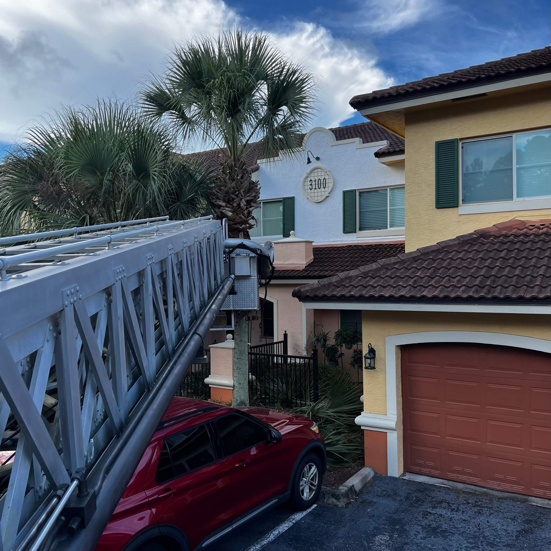 Palm Tree Trimming | IL Villagio Condominiums by ProGreen Services
