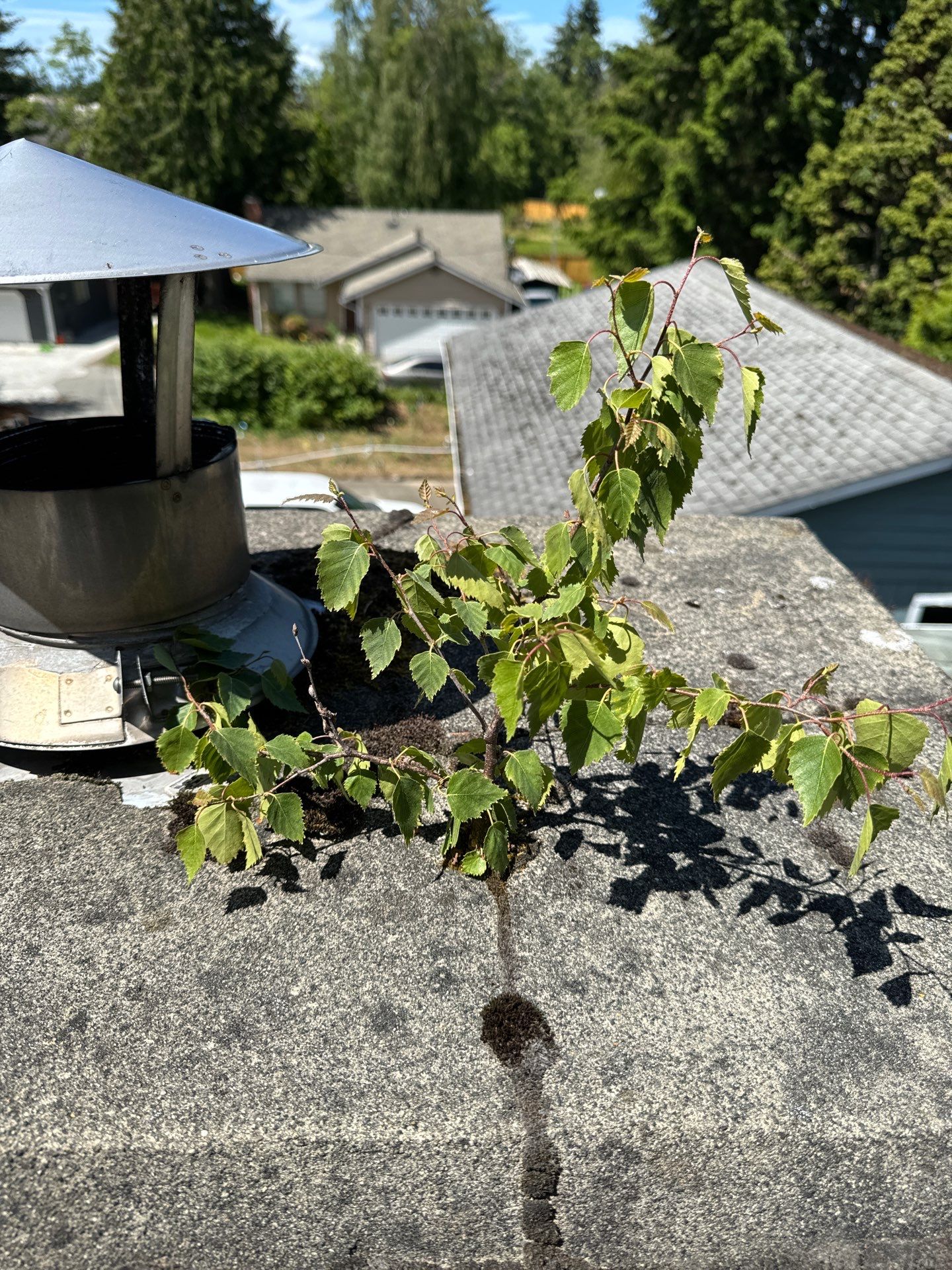 Project by Connolly Construction Company by Connolly Construction Company