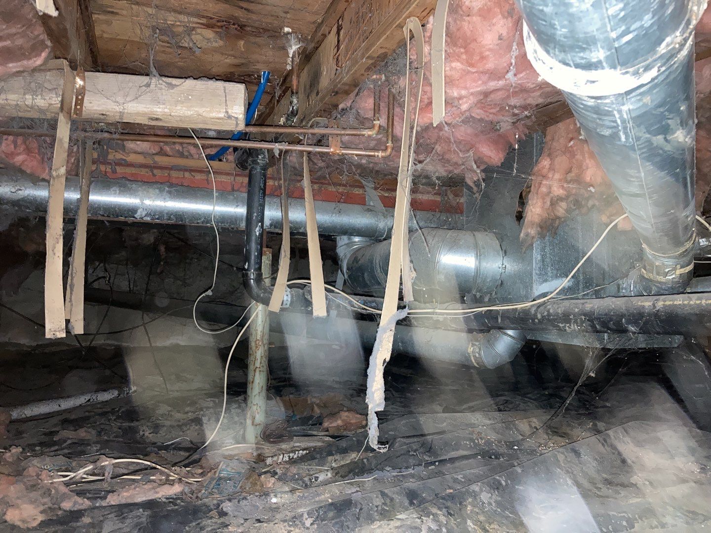 Crawl Space Cleanup  by Accountable Home Services