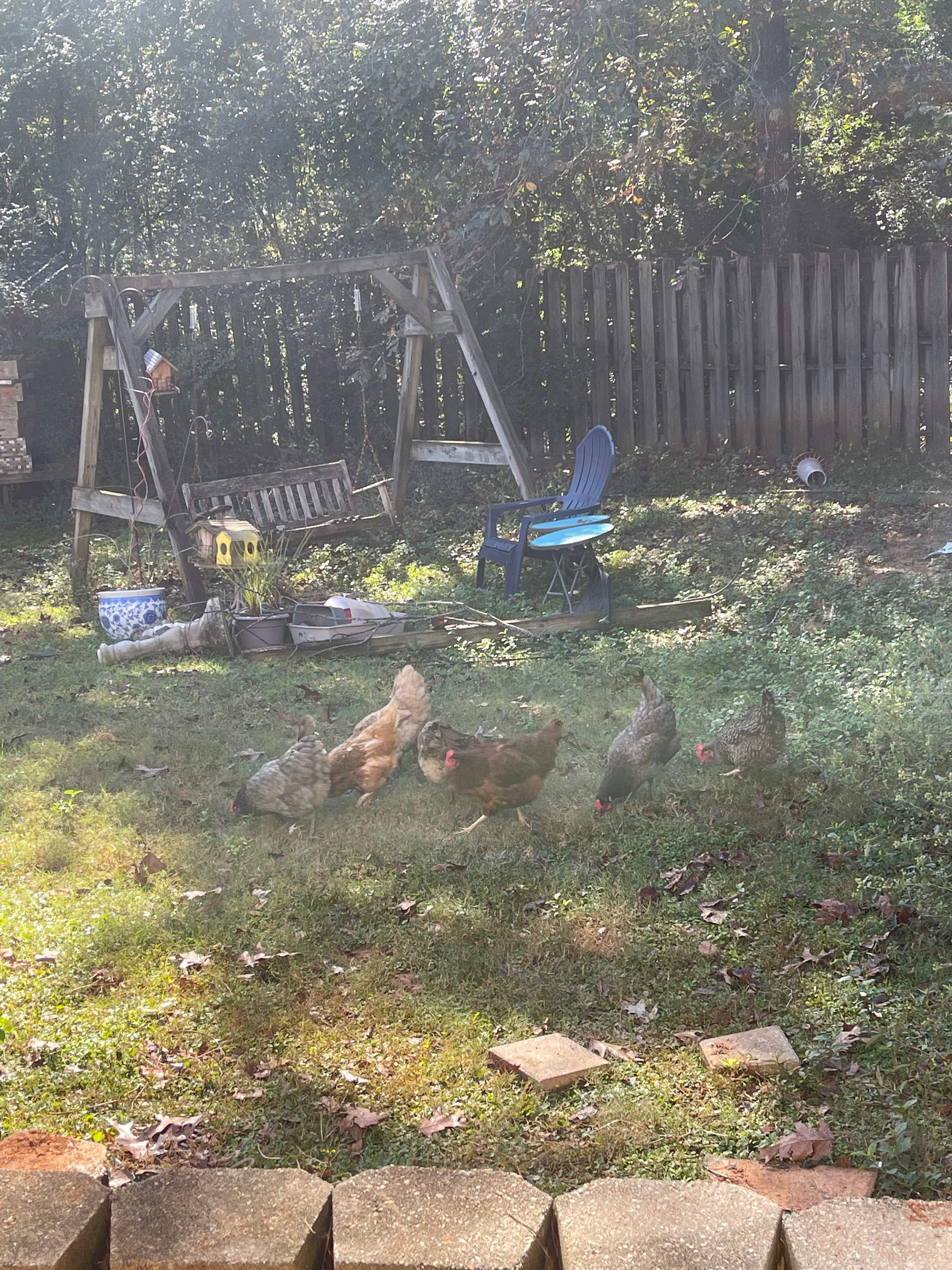 Balmoral Estates Screened Deck  by Pillar and Pine