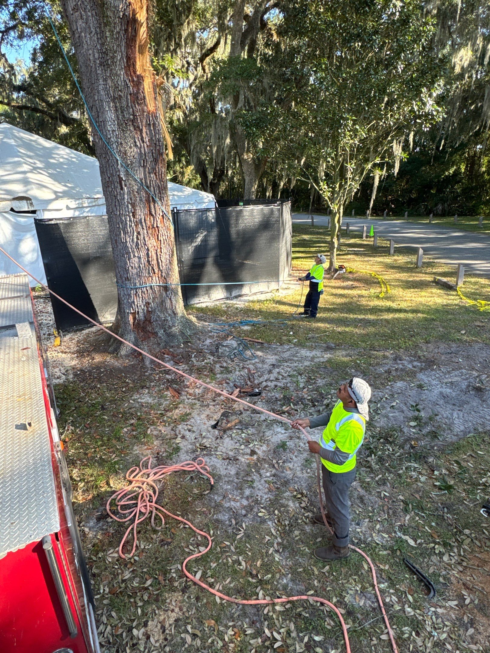 Episcopal | Large Tree Removal by ProGreen Services