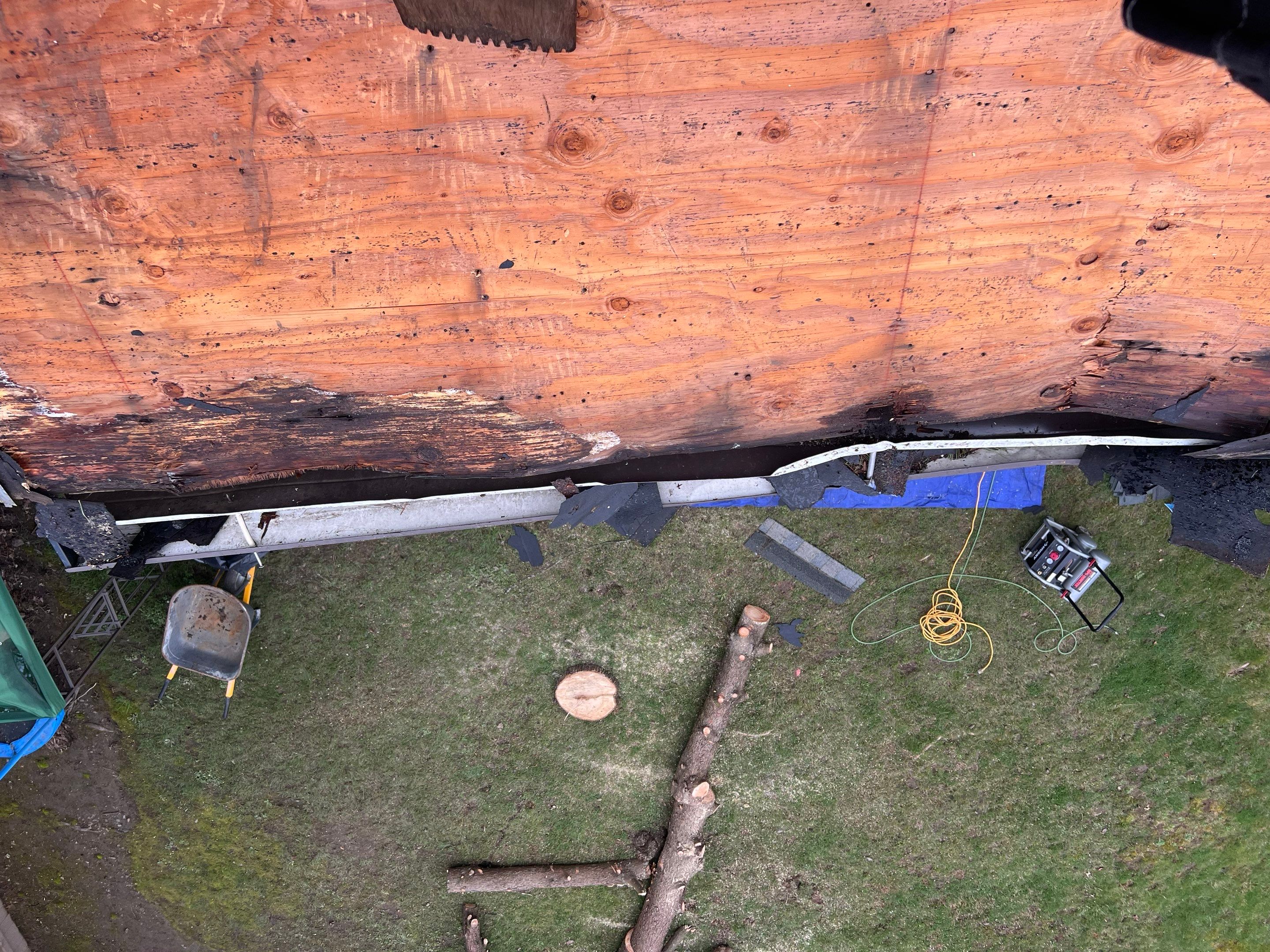 Emergency Leak Repair in Hillsboro by Prodigy Roof Solutions